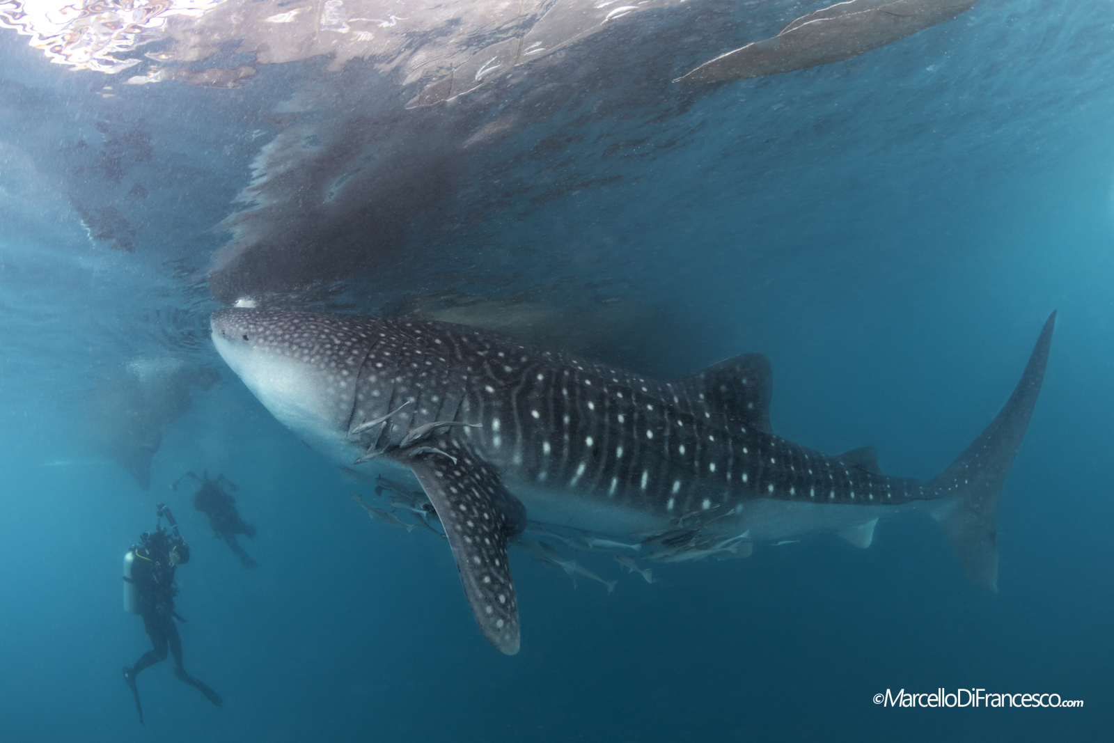 Photographers-Triton Bay-West Papua