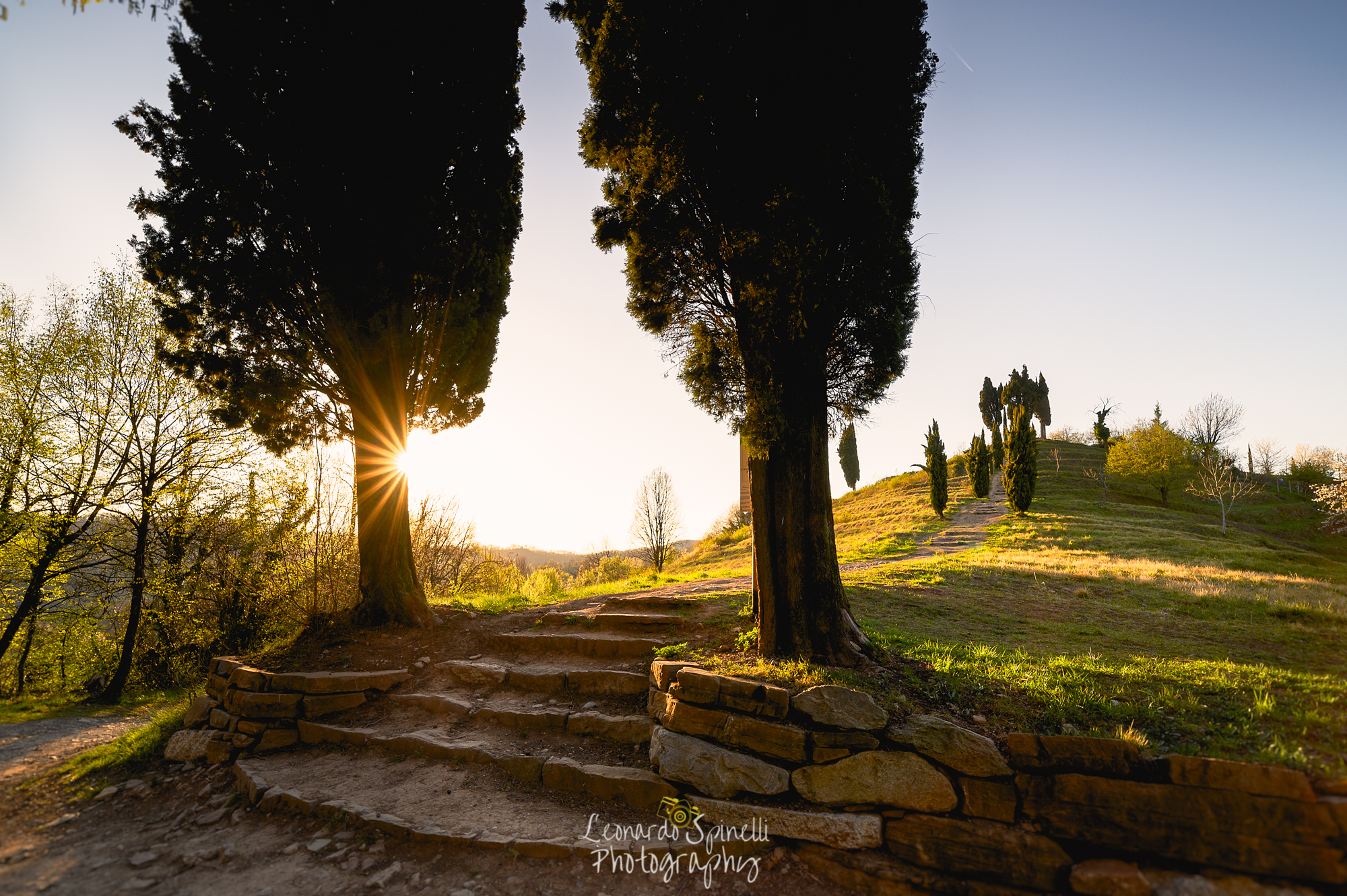 Sunset on Cypress Choline