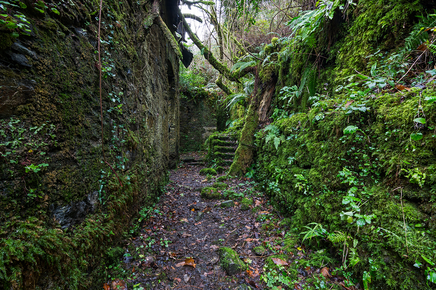 Traces of Abandonment