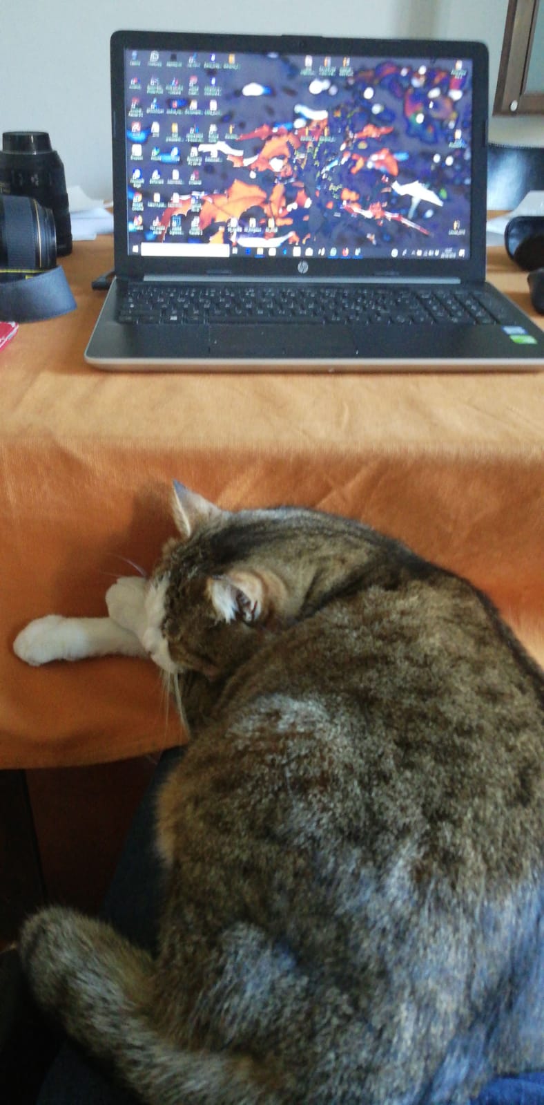 Addormentarsi sul lavoro