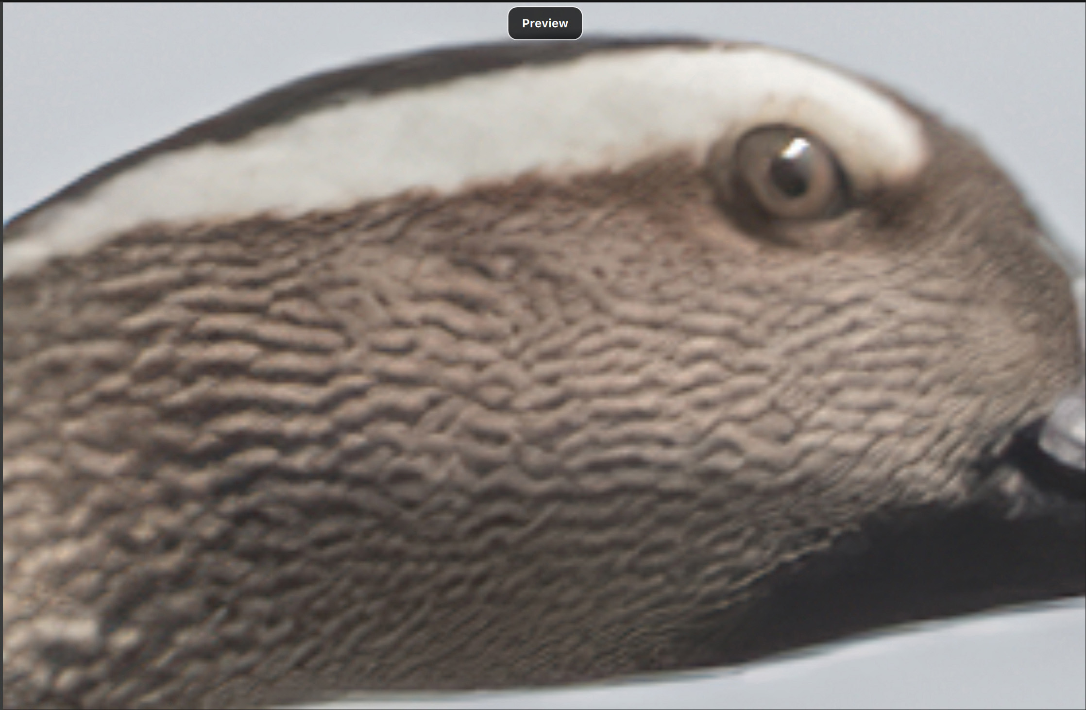 Preview of A.I. Gigapixel