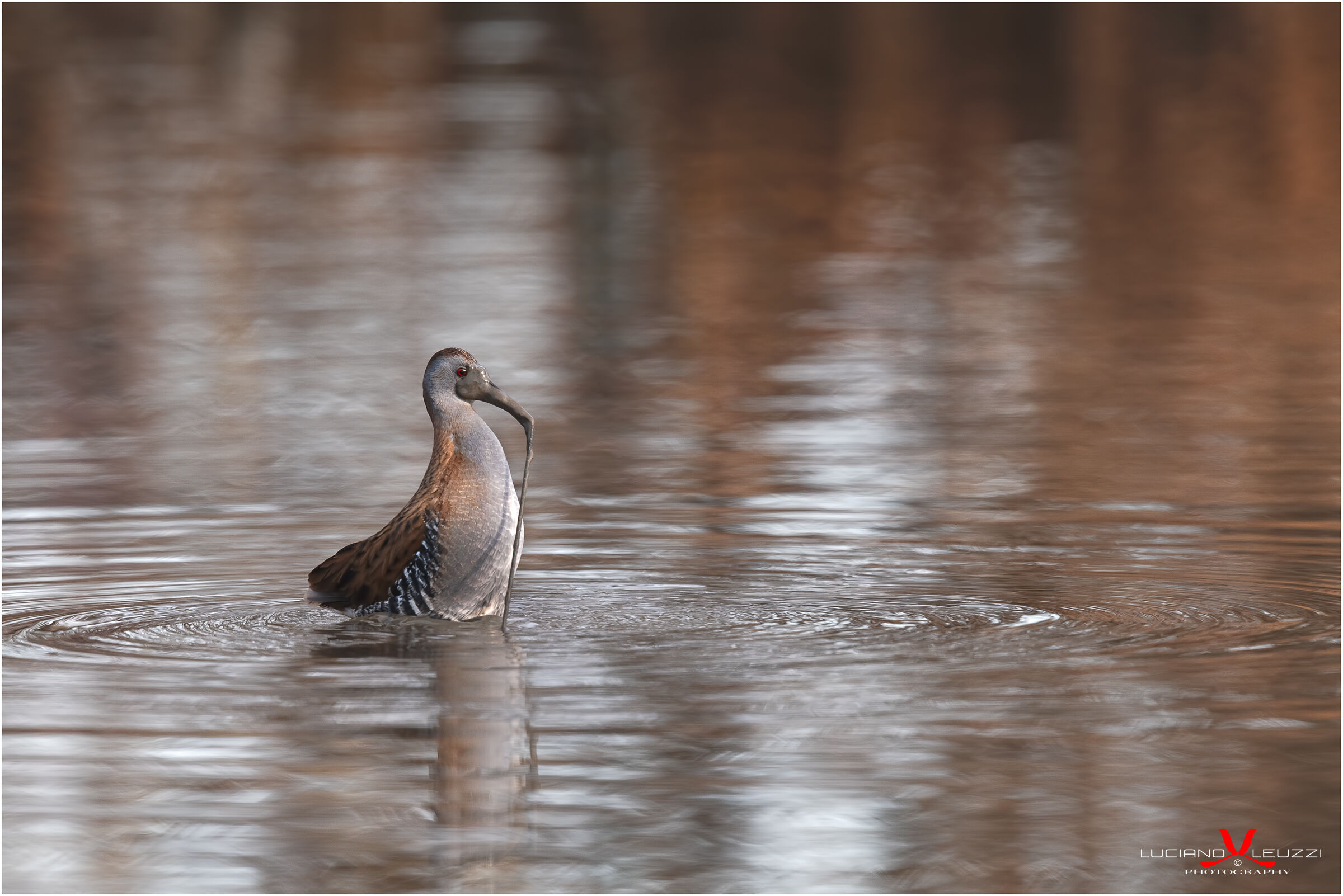 Masked Rail
