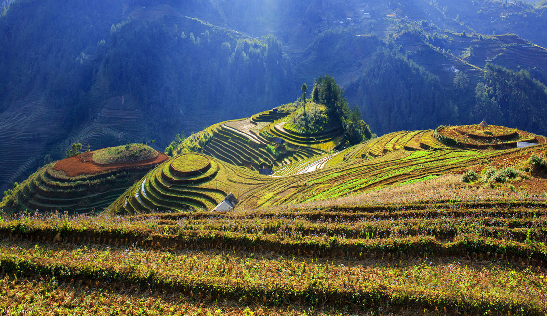 Mu Cang Chai on backlight