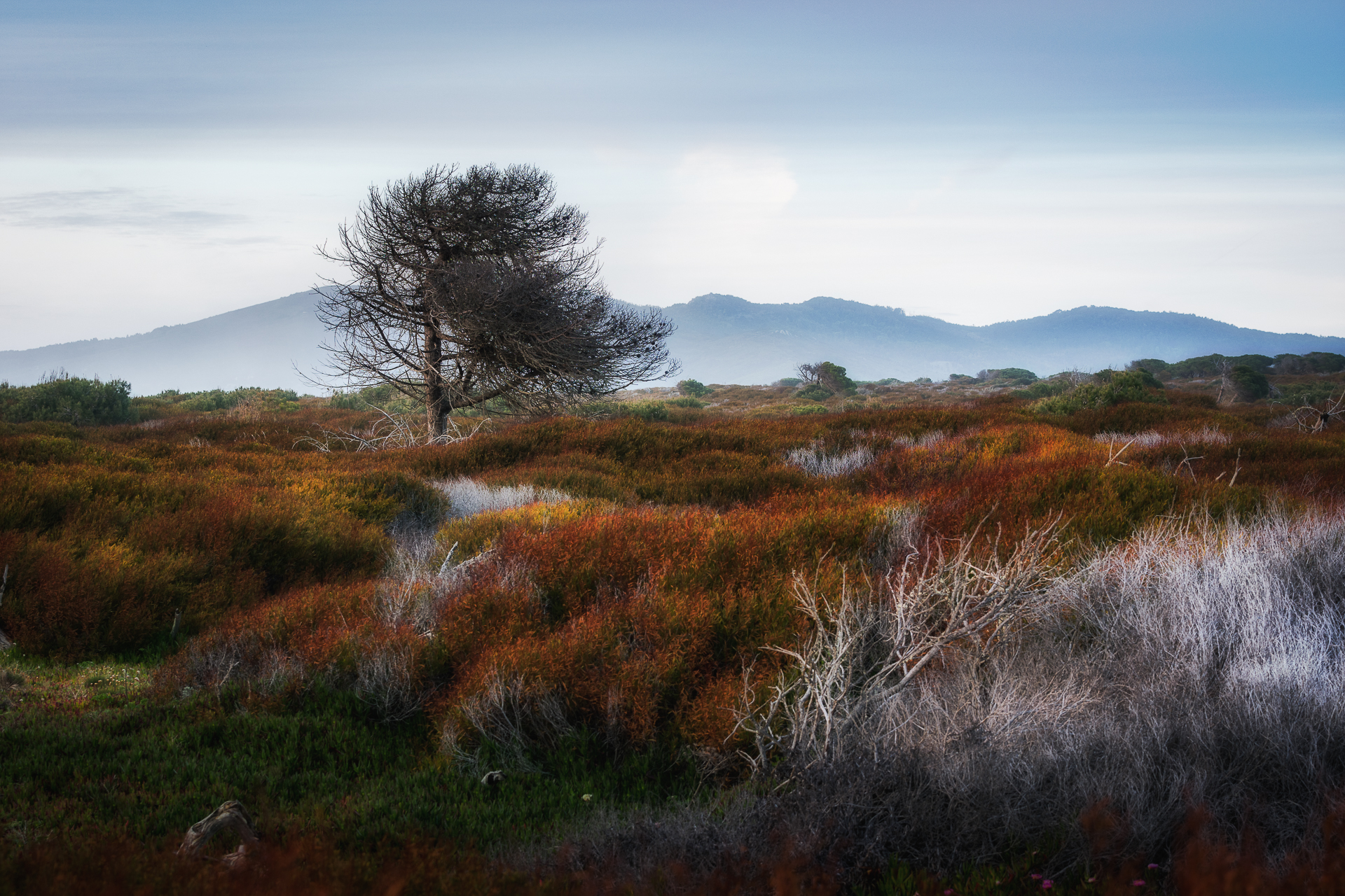 Winter Landscape, Portuguese hinterland.