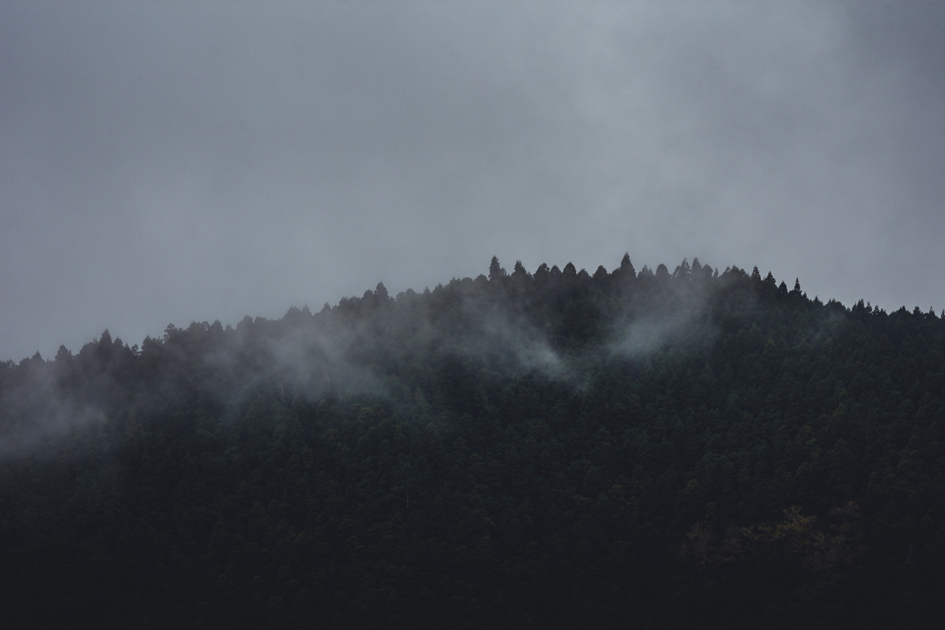 Foresata with Dawn Fog