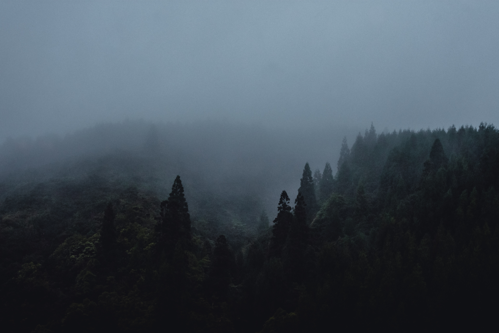 Foresata with Dawn Fog