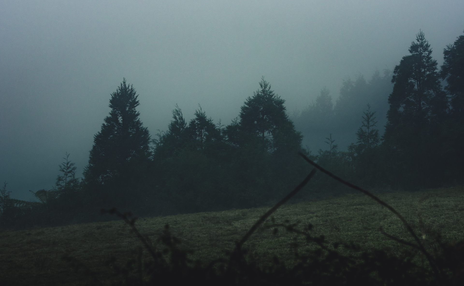 Foresata with Dawn Fog