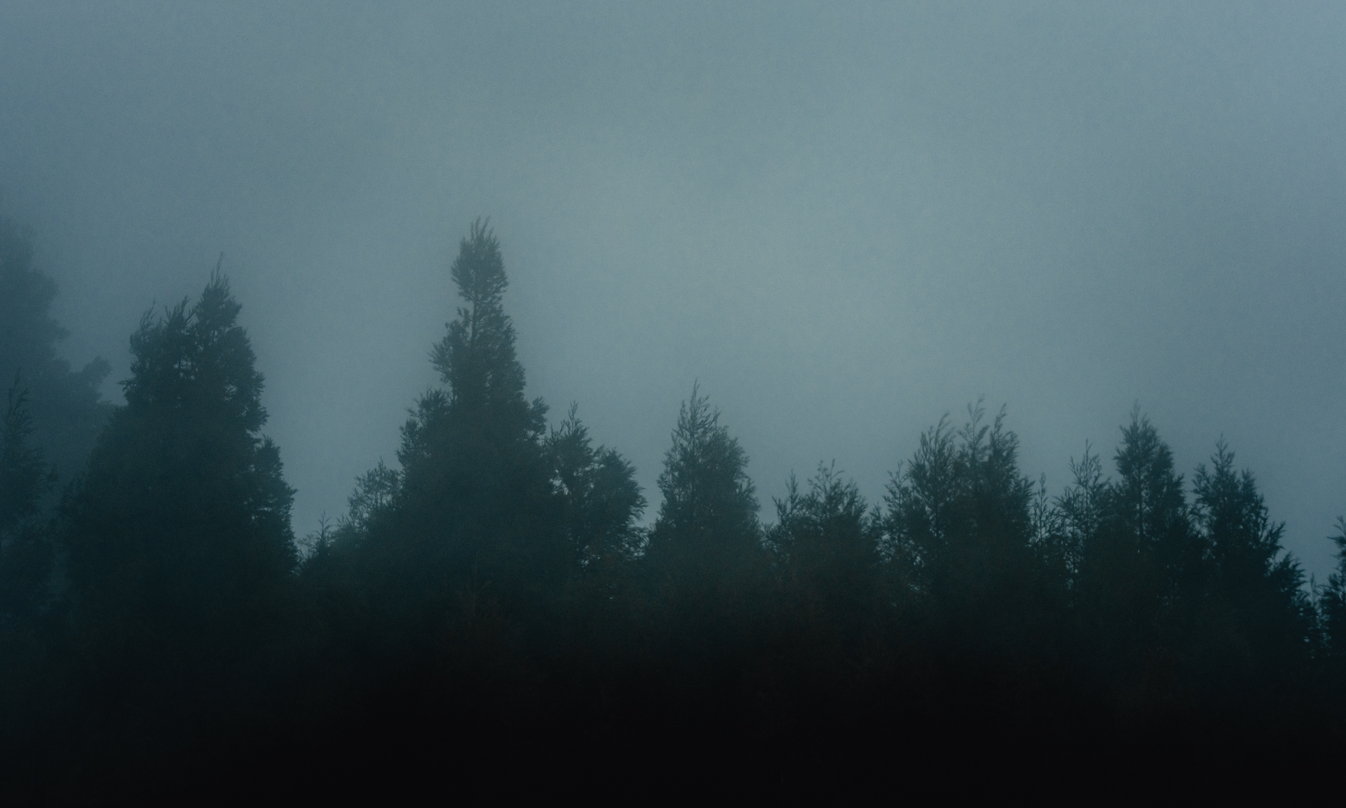 Foresata with Dawn Fog