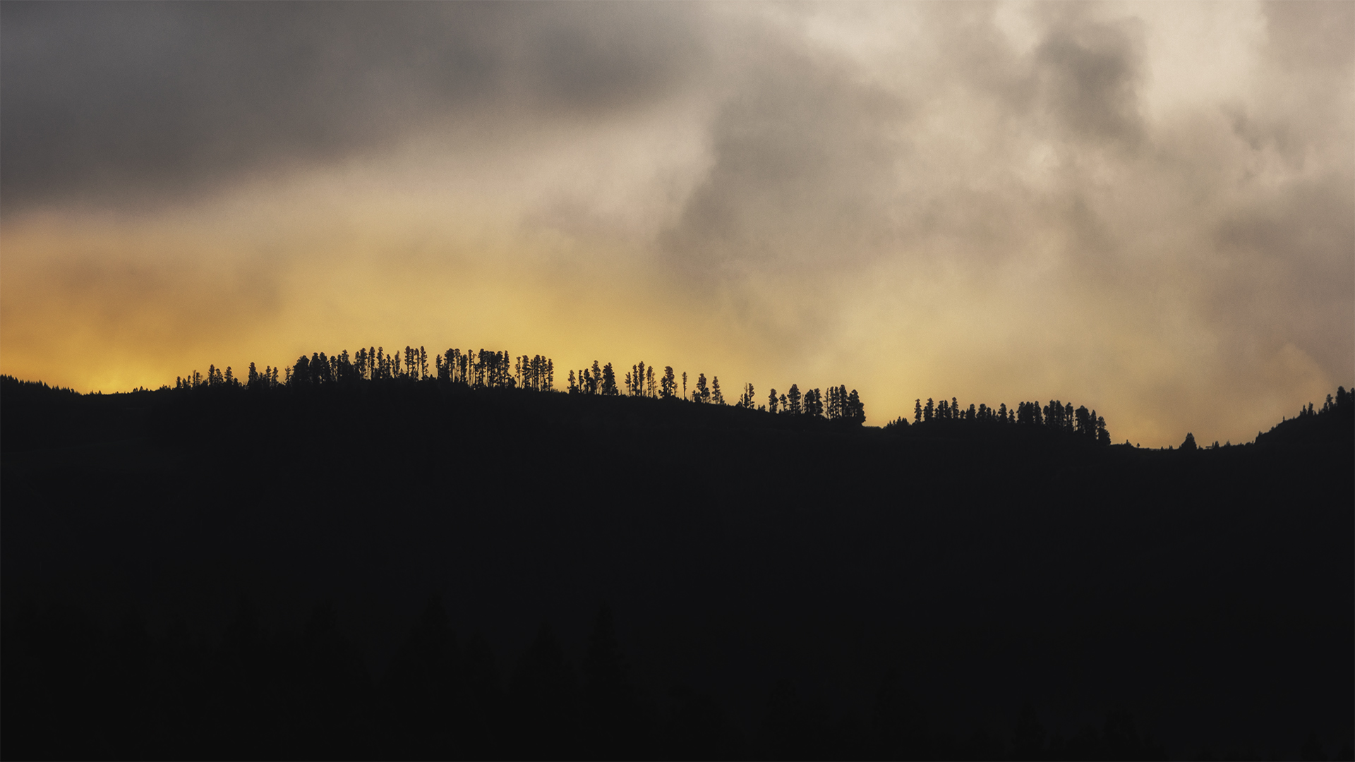 Sunset in Silhouette