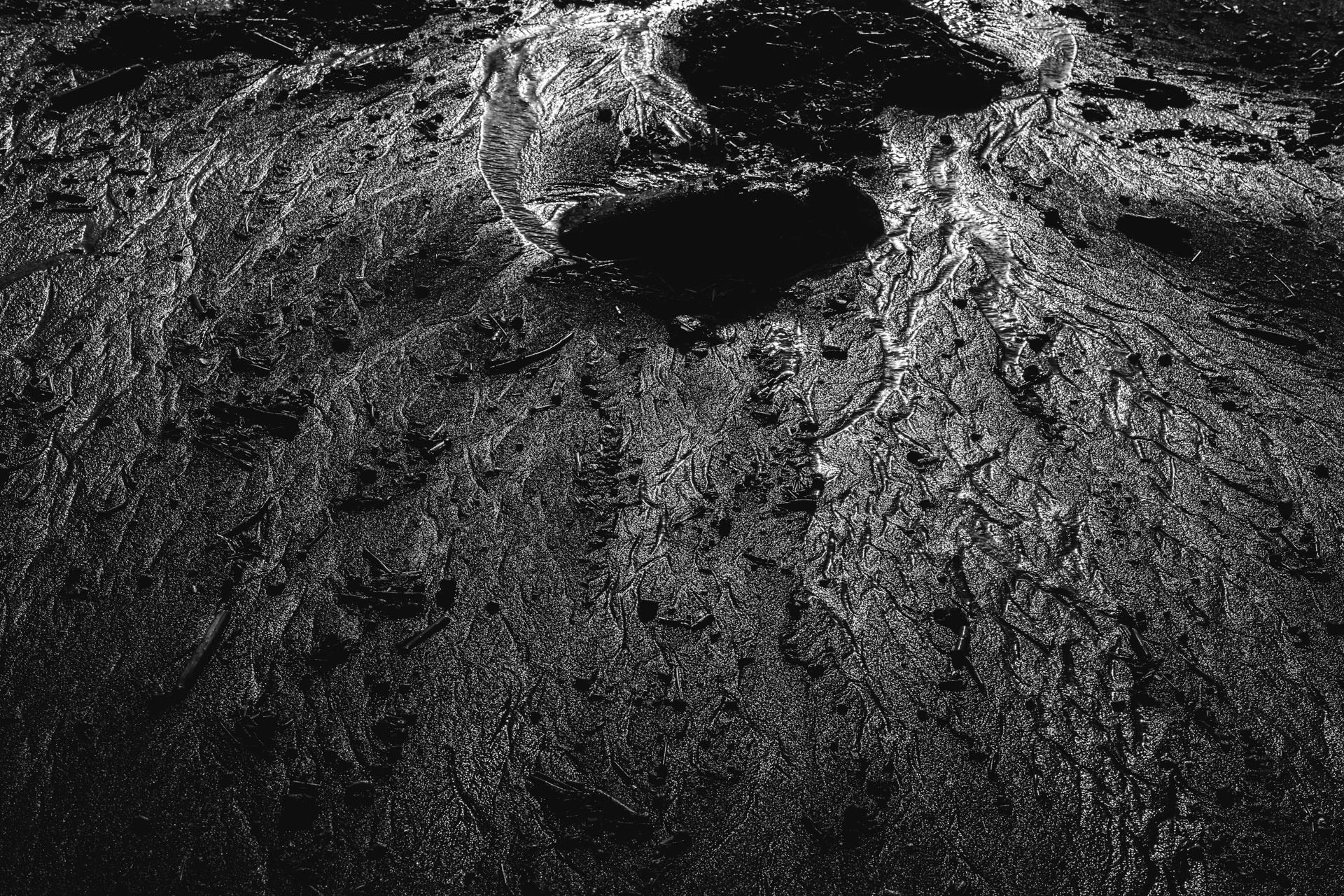 Origins of the Earth. B/W High Contrast