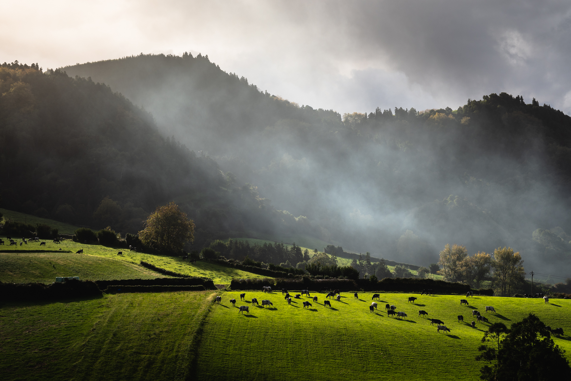 Azores in their most classic icon