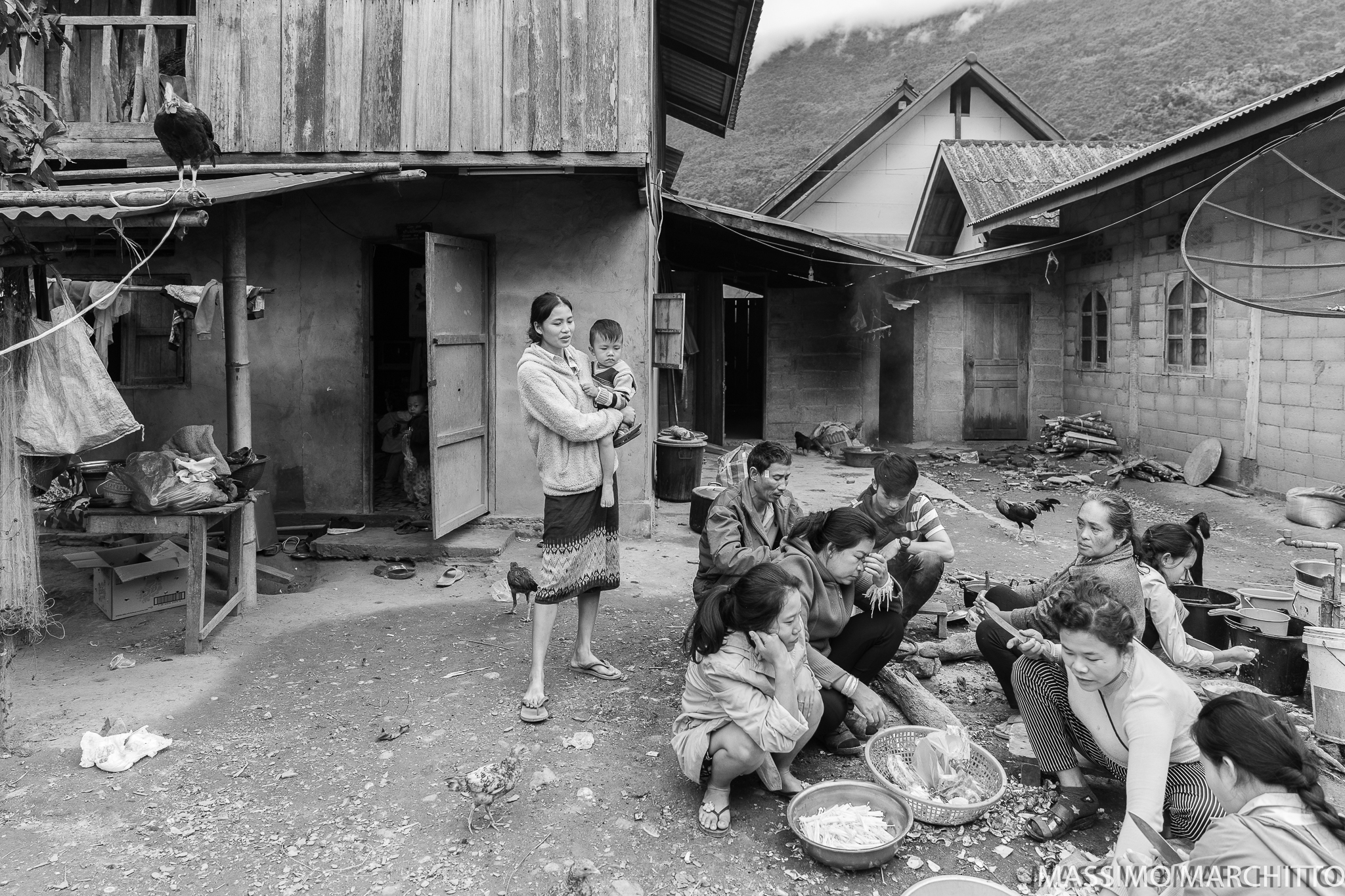 The Rooster on a leash