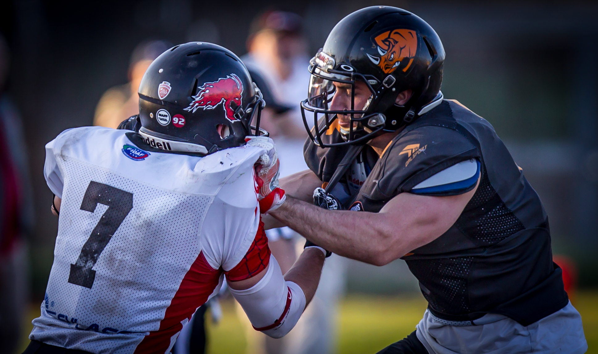 Italian American Football League 2th Division