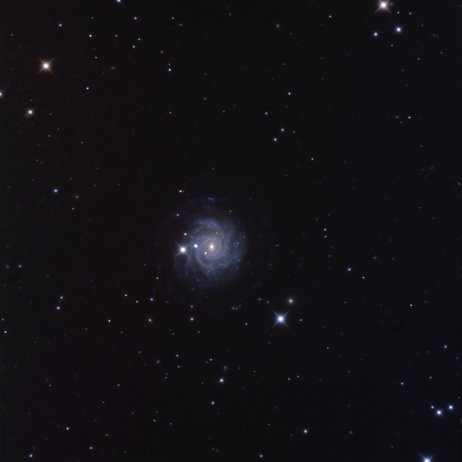 NGC 3344