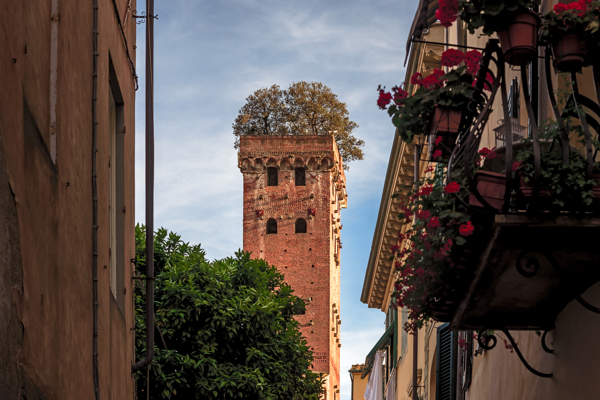 Lucca - Torre Guinigi
