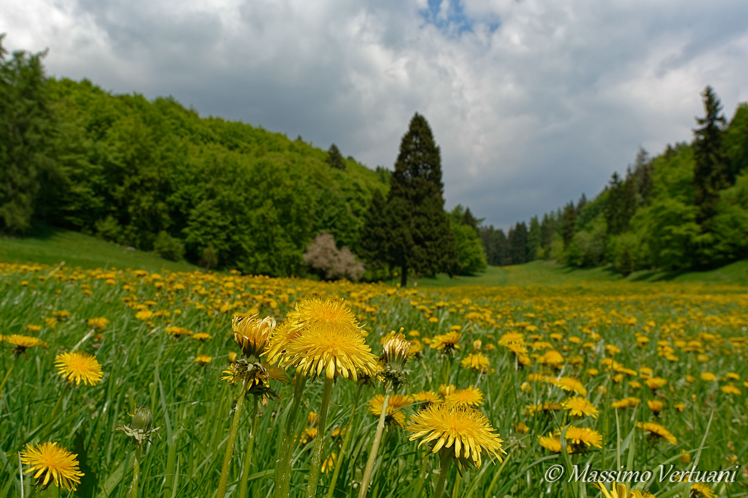 Il giallo del Baldo...