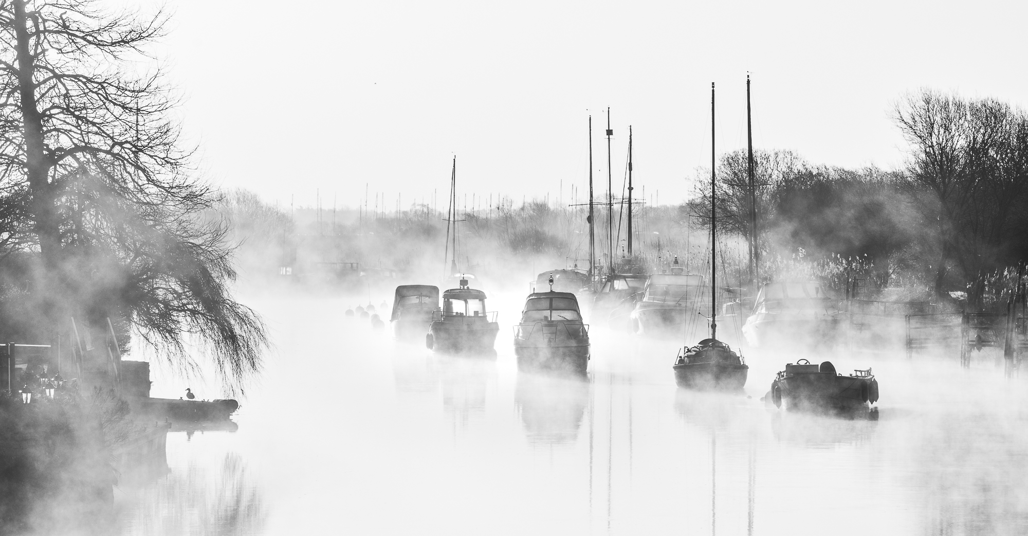 Emerging From The Mists