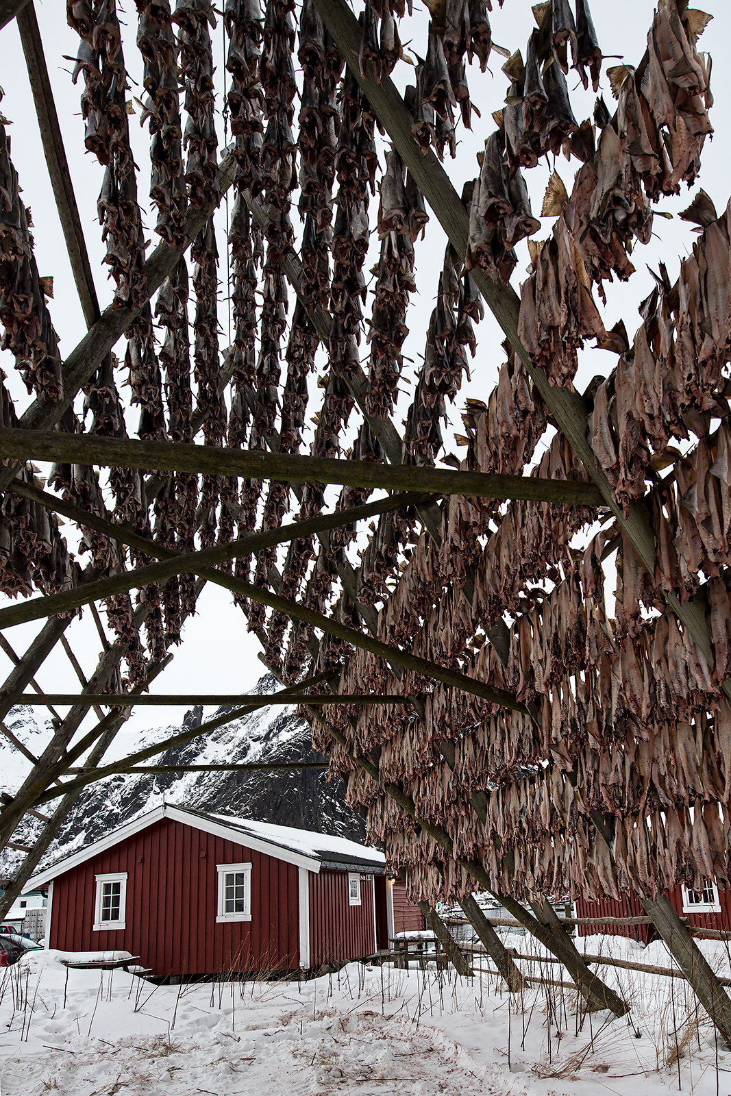 The House with Dryer
