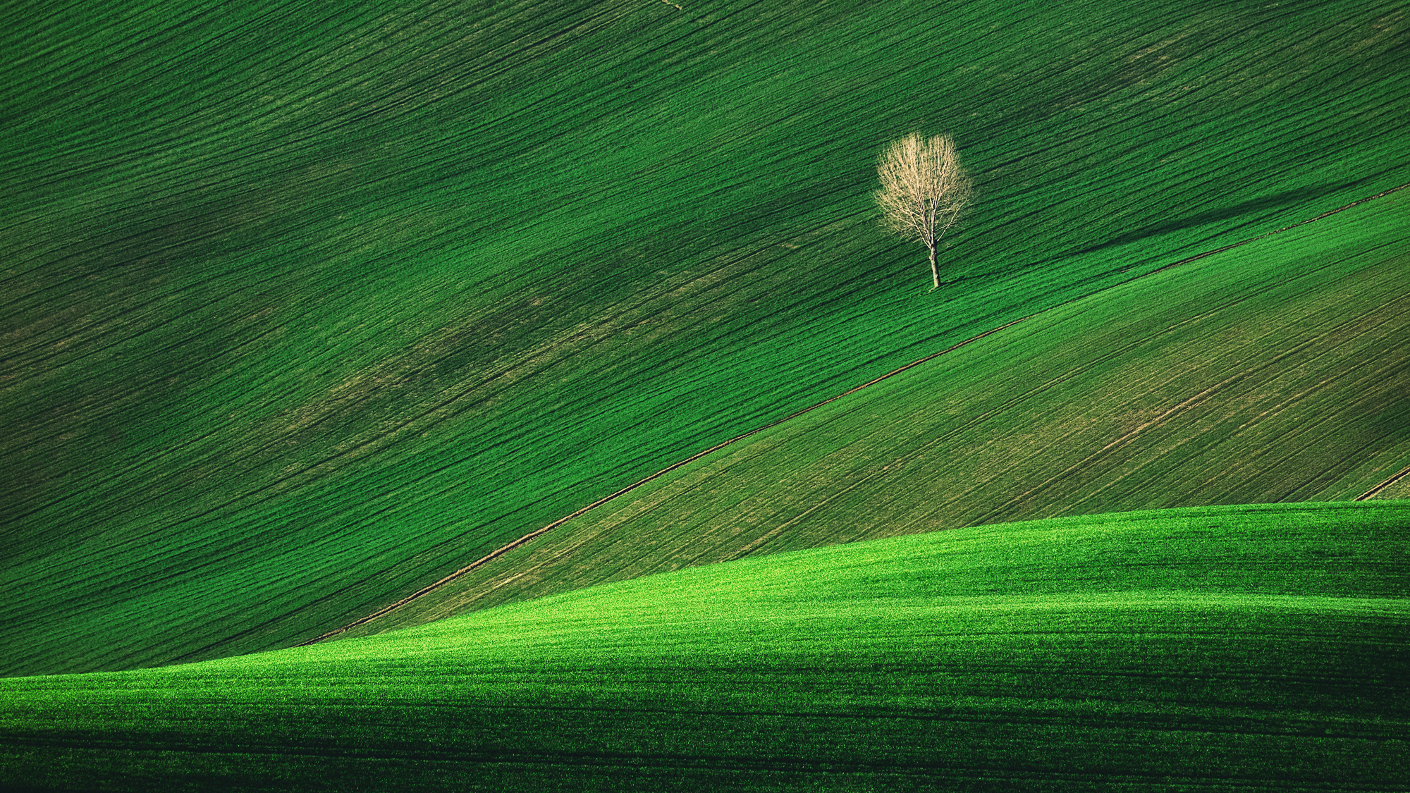 A glimpse of the countryside