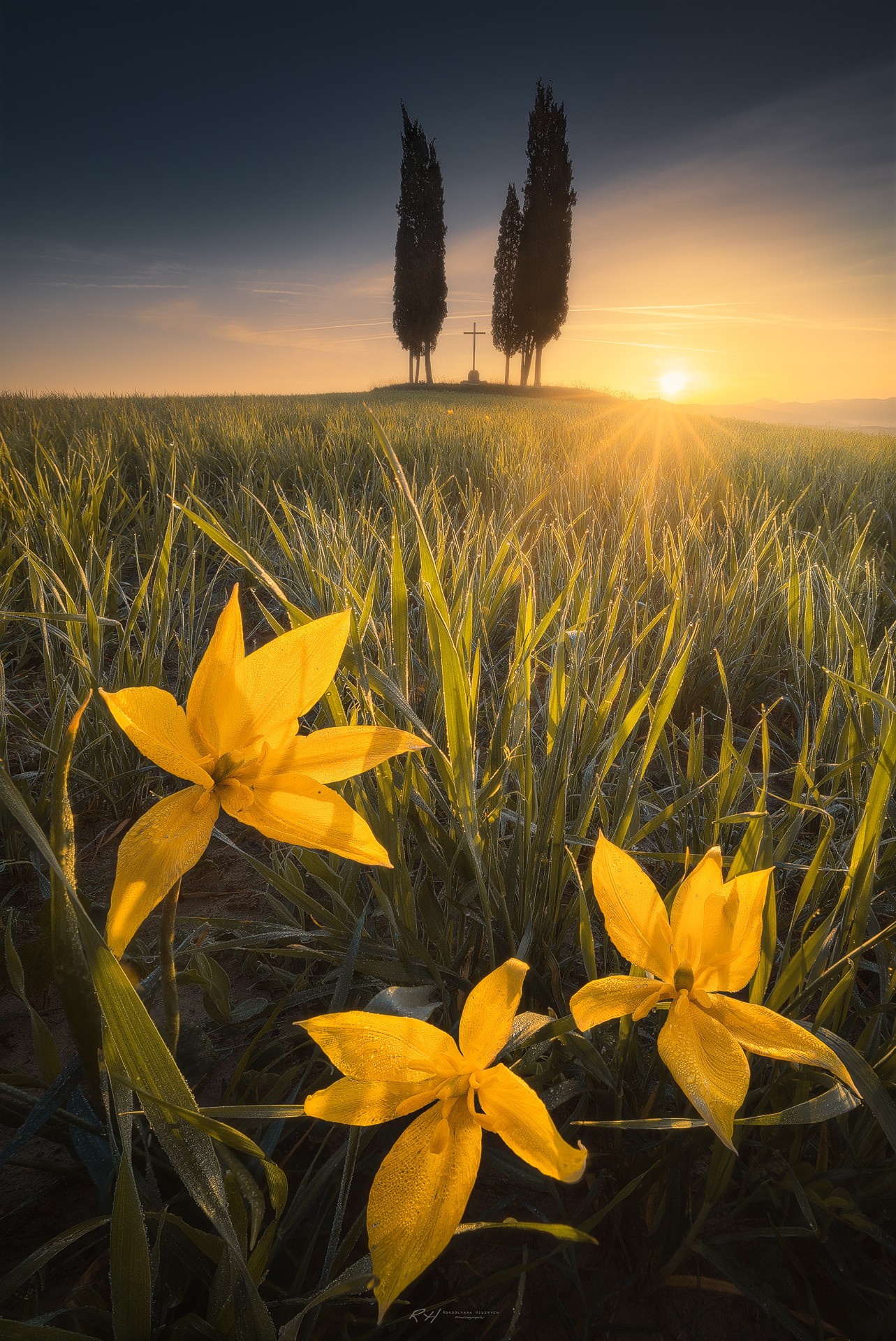 “Spring awakening”