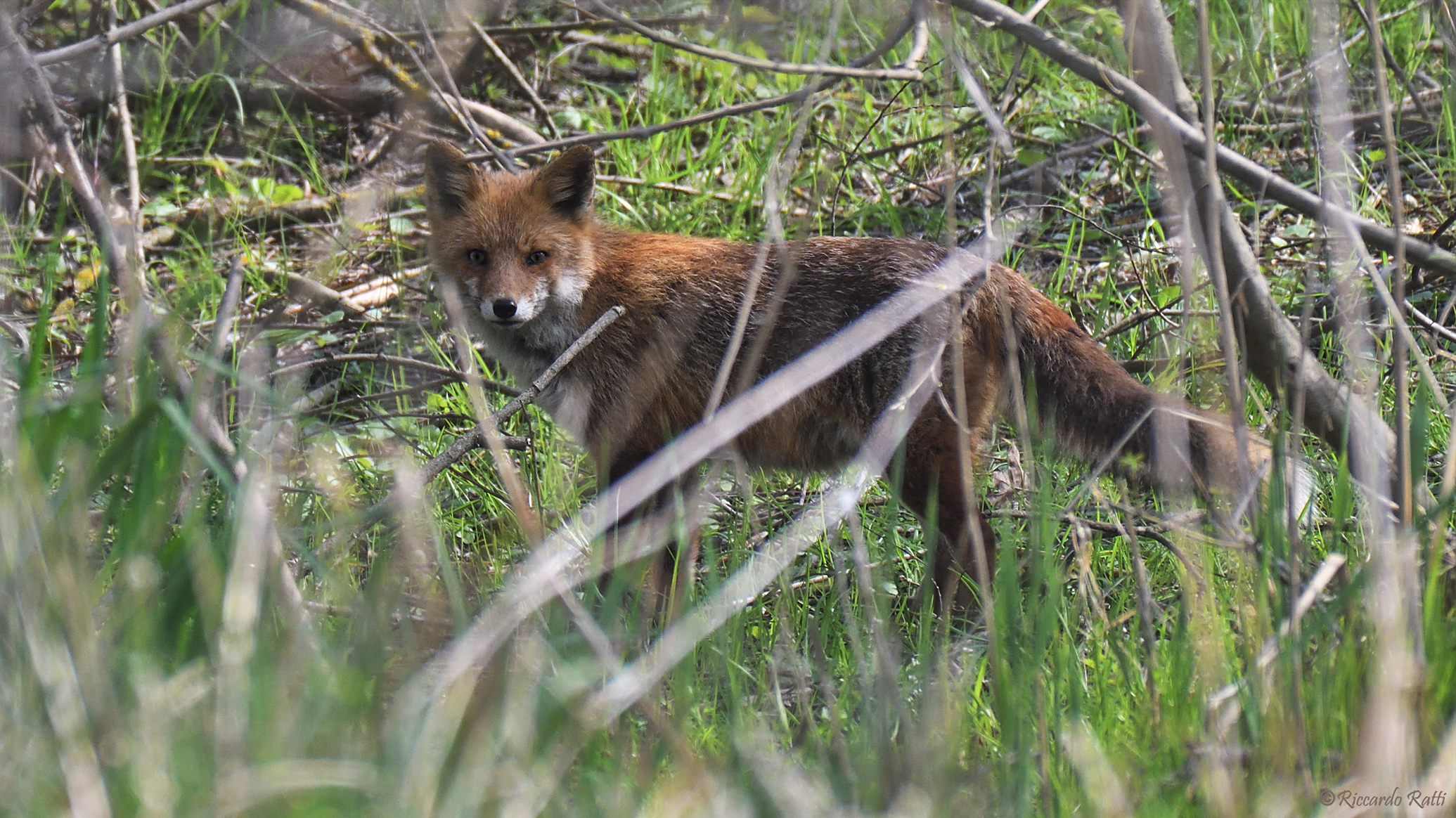 Il tempo di uno sguardo