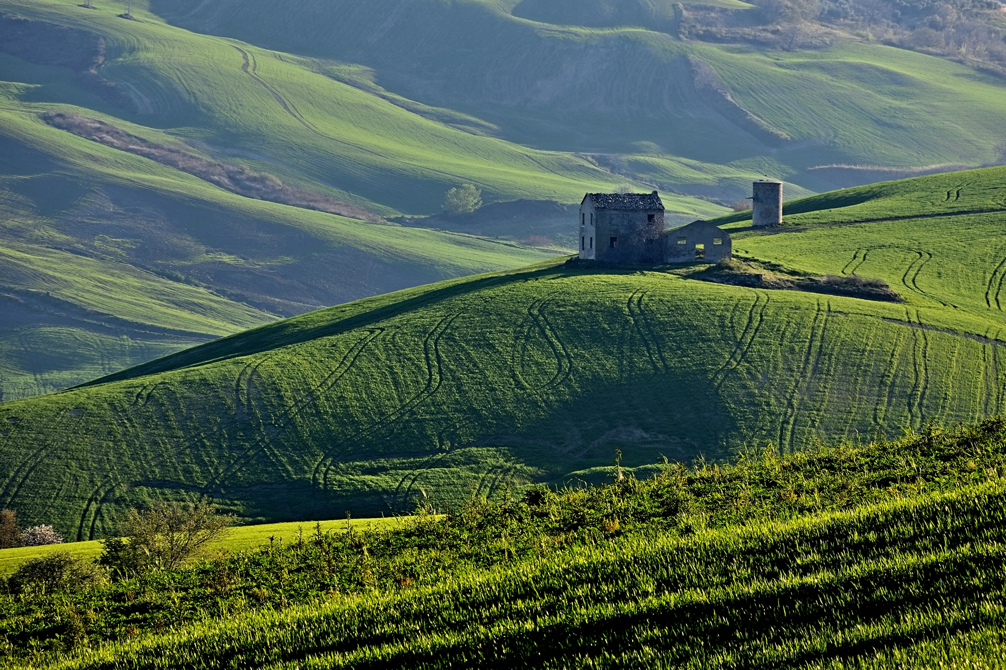 Abandoned Memories in the Green