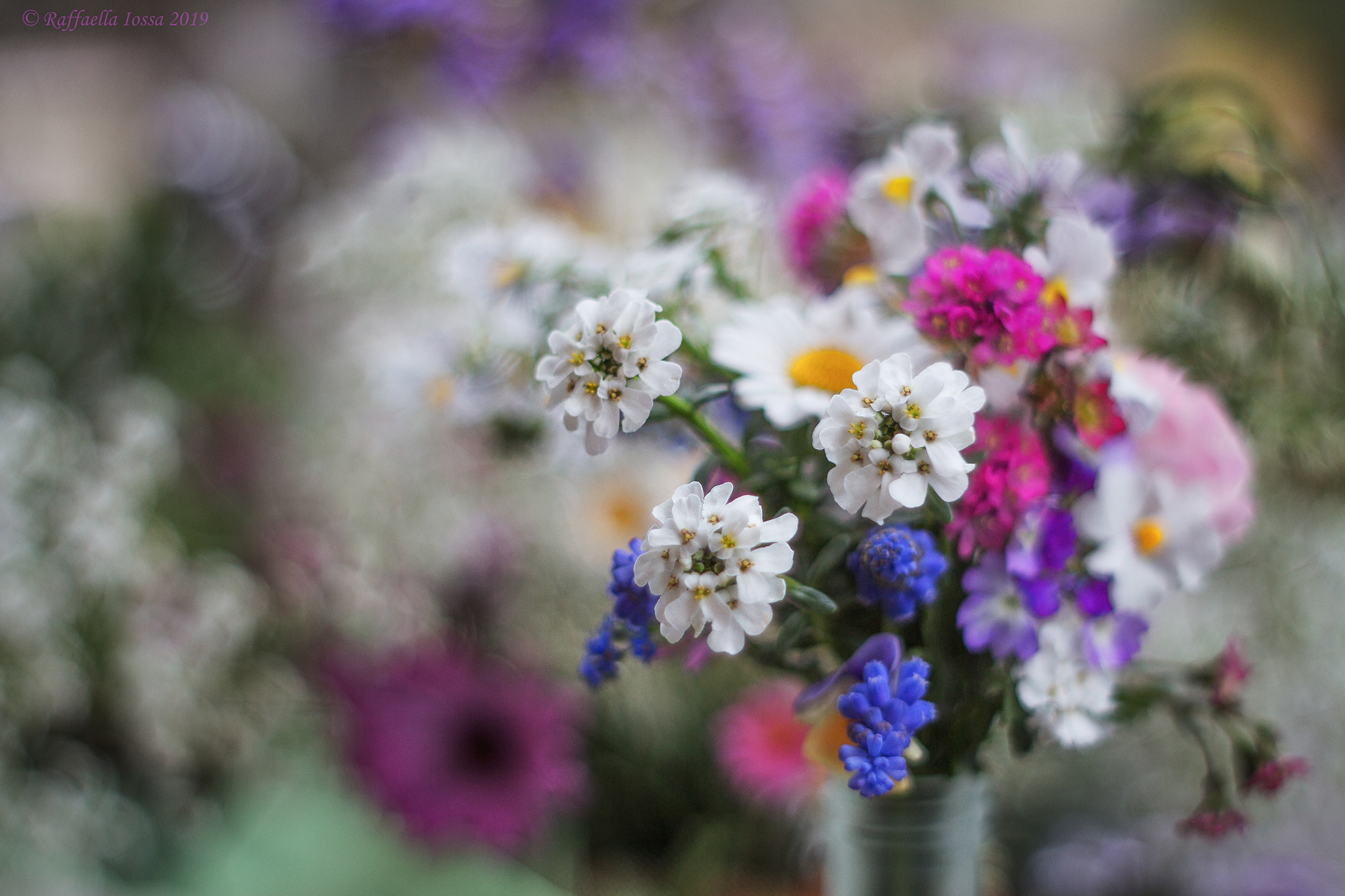 I colori della primavera