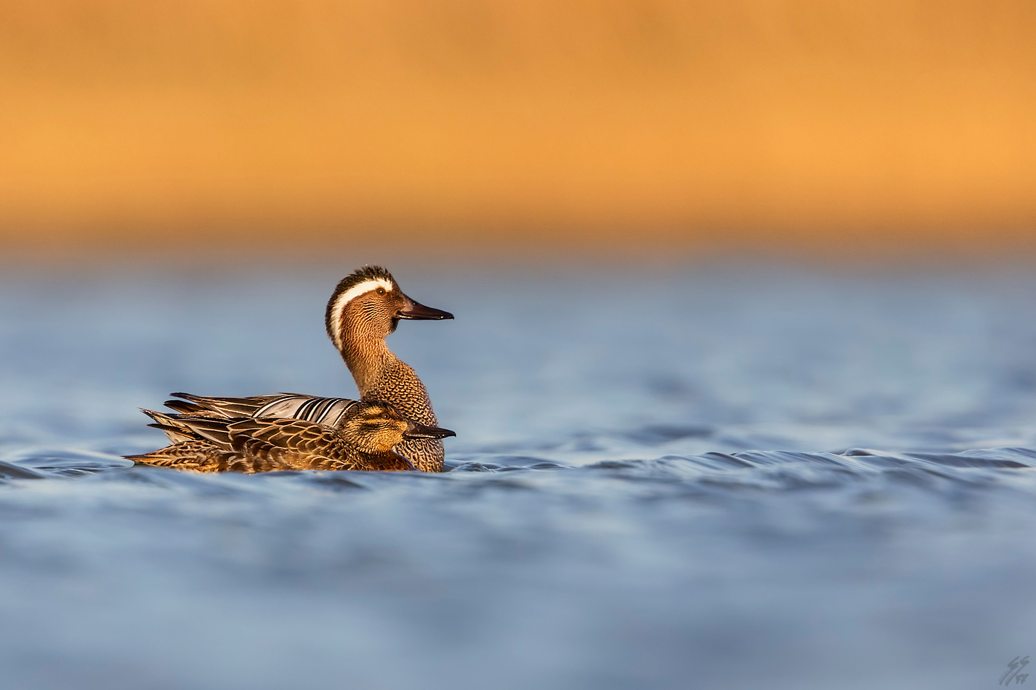 ..nulla all'orizzonte..