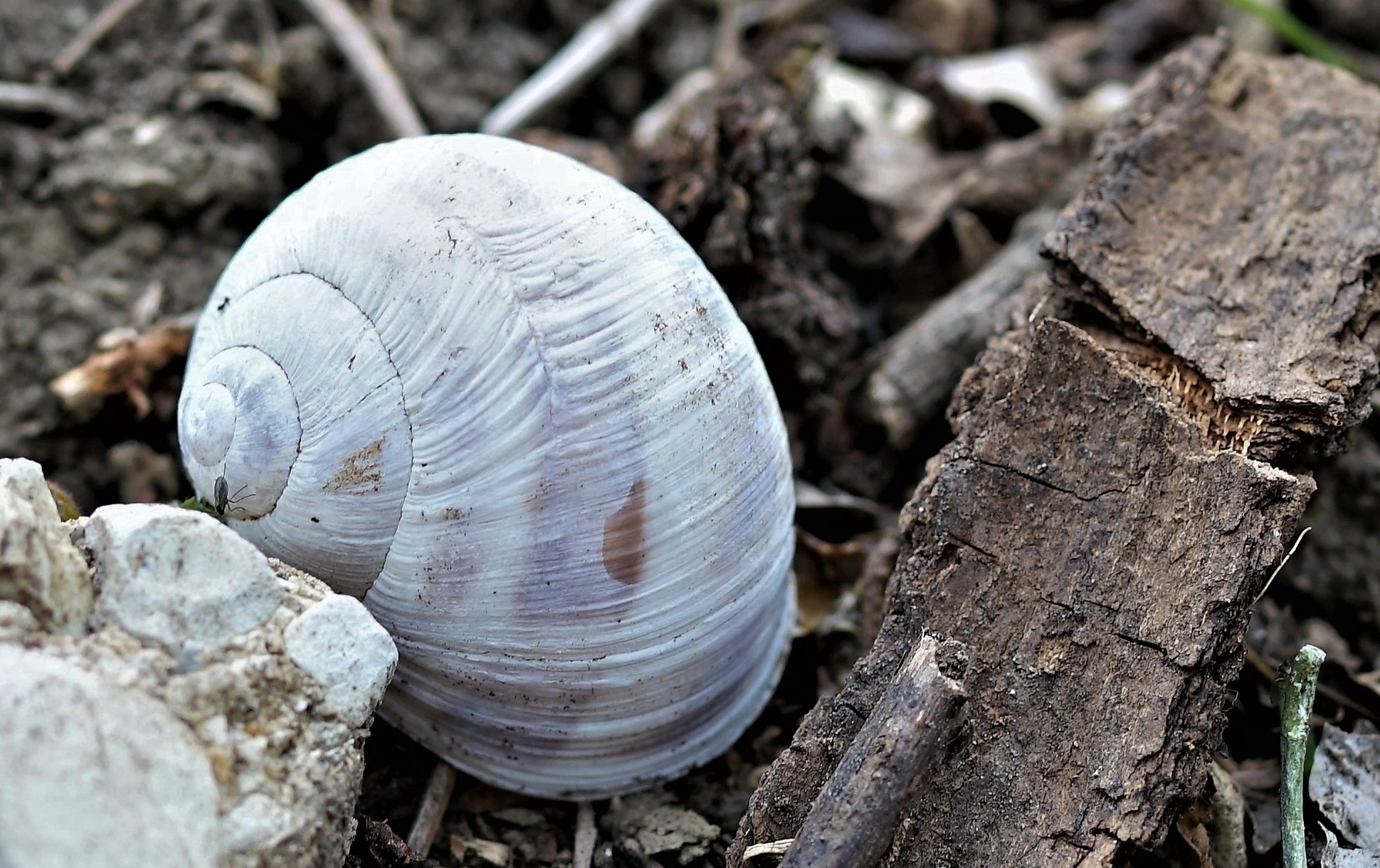 Where do you come In?