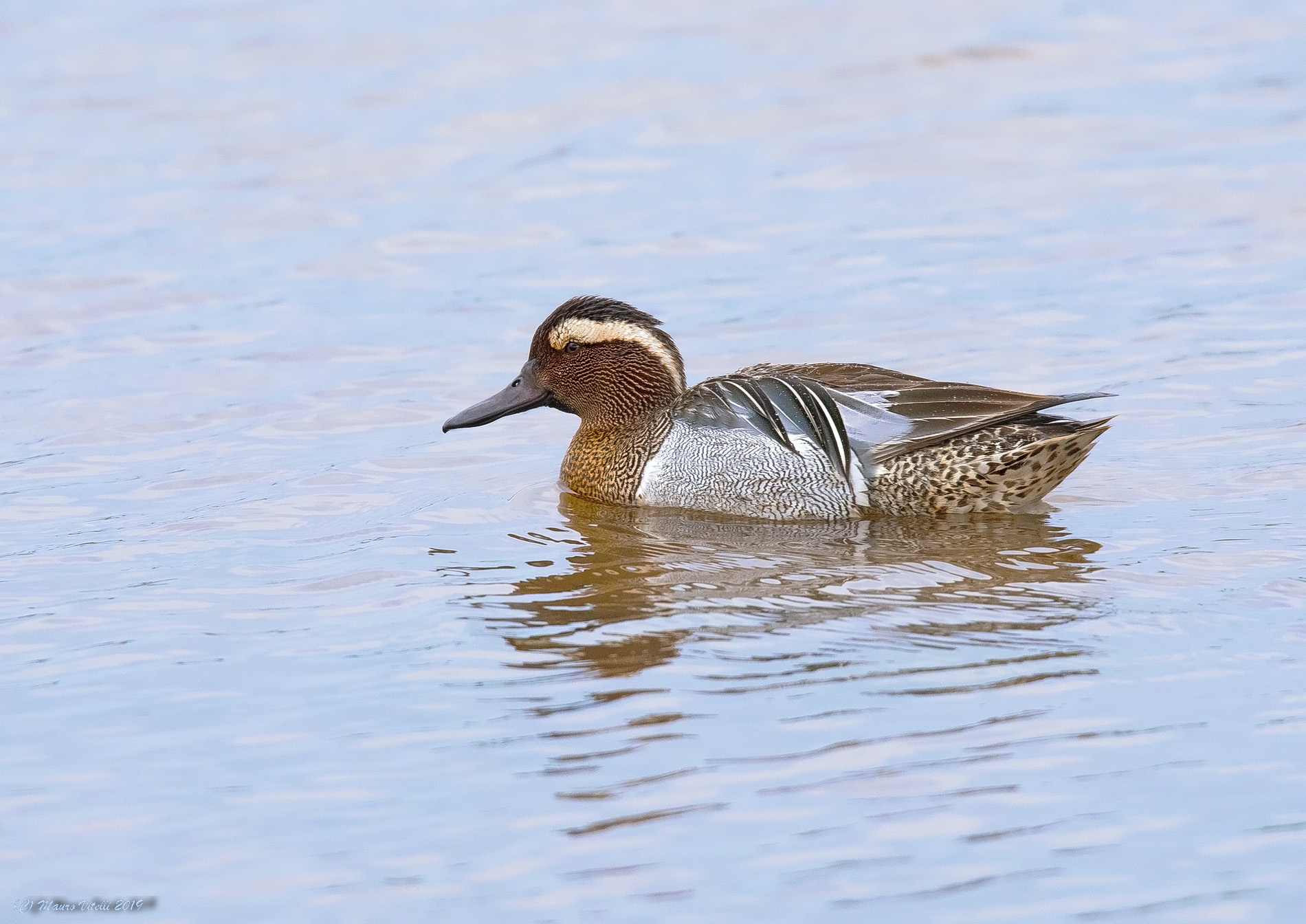 In the Rain (Marzaiola)