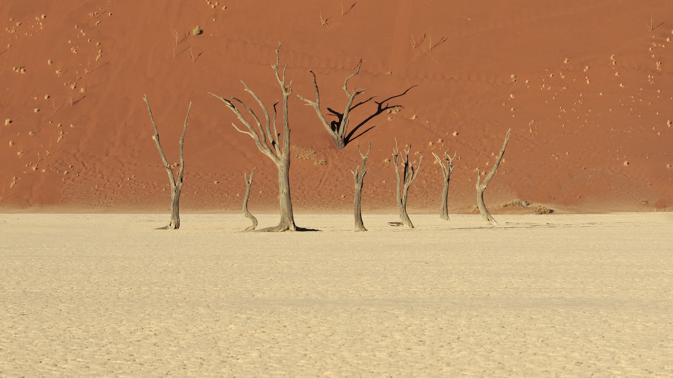 Ed ora... su le mani !!!!!!