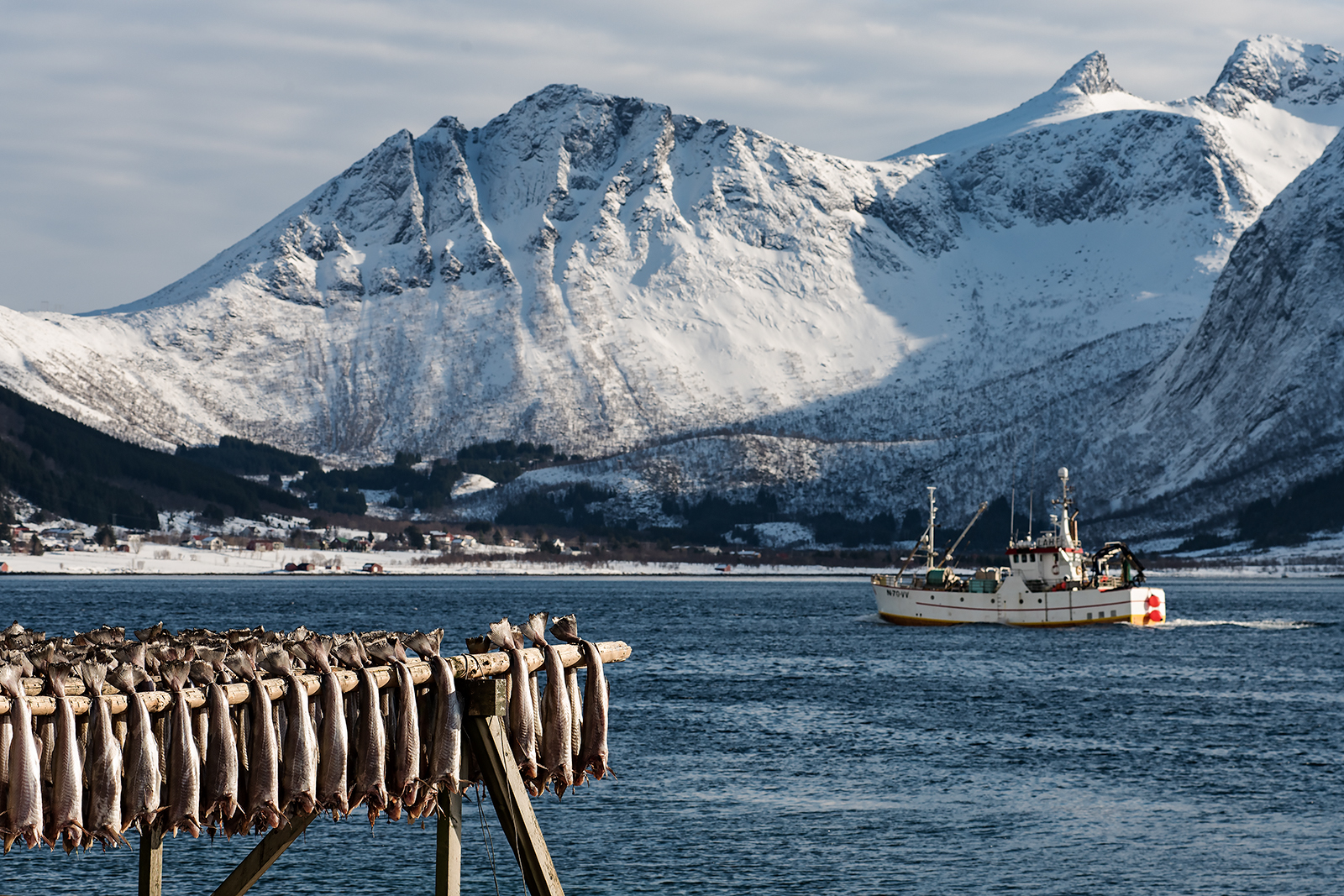 The fishing vessel and the catch.