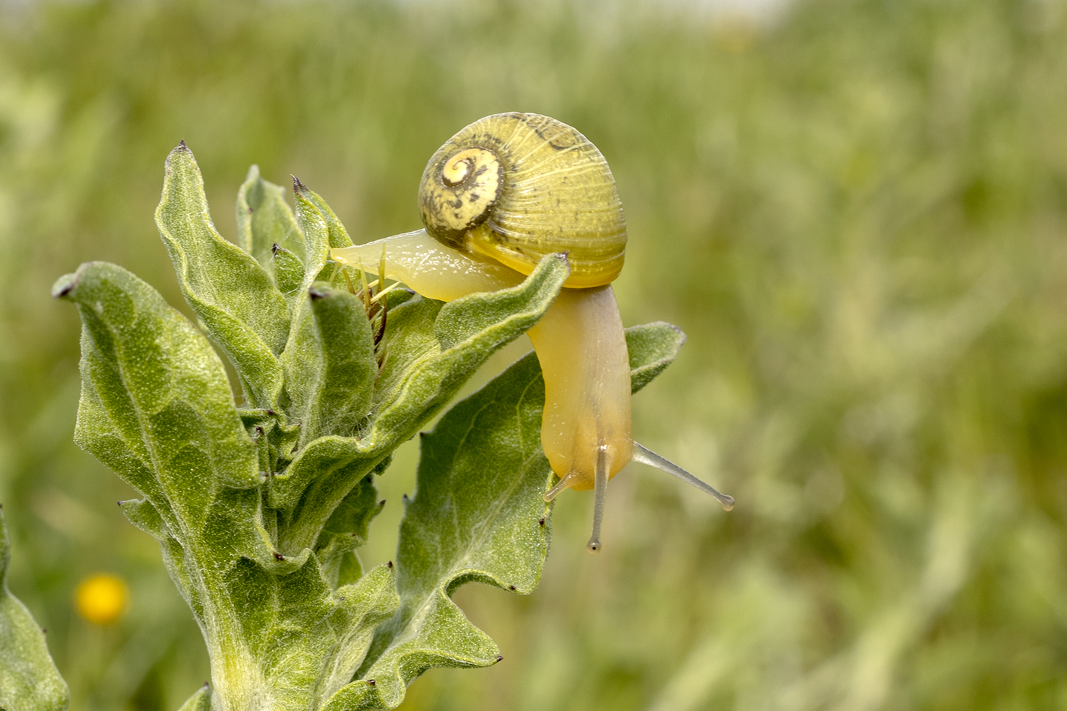 ... Now I'm going to jump!