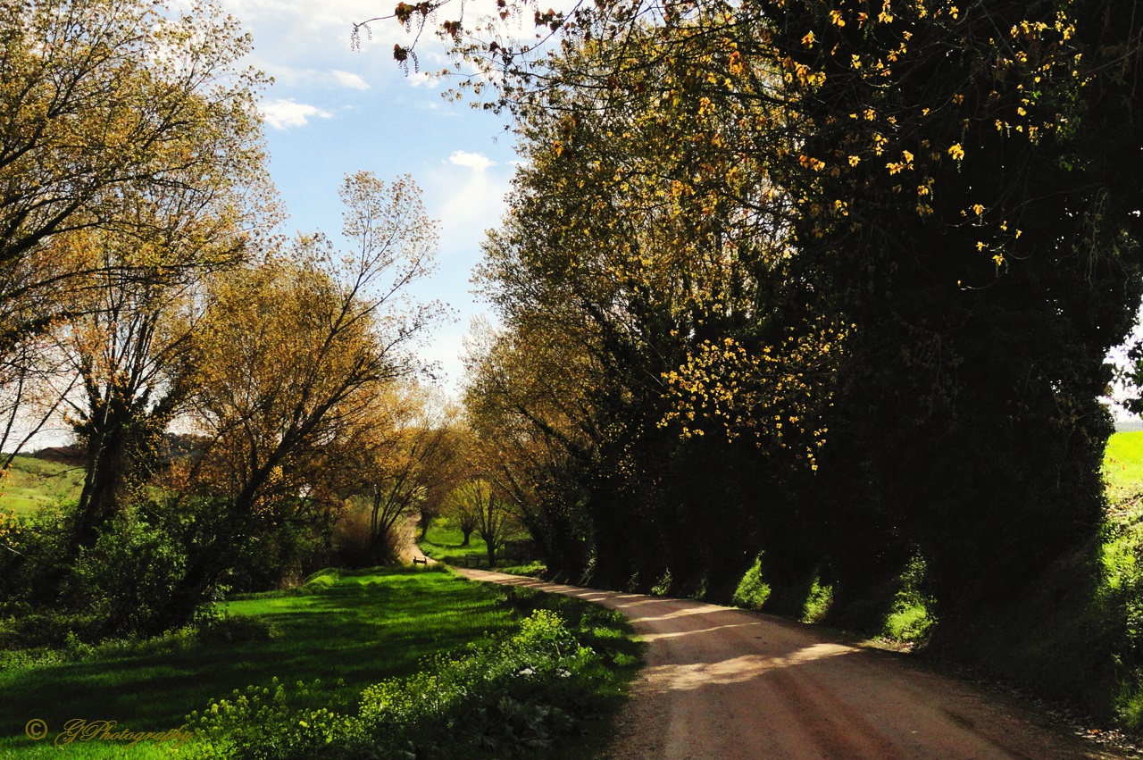 Sfizio di Primavera...