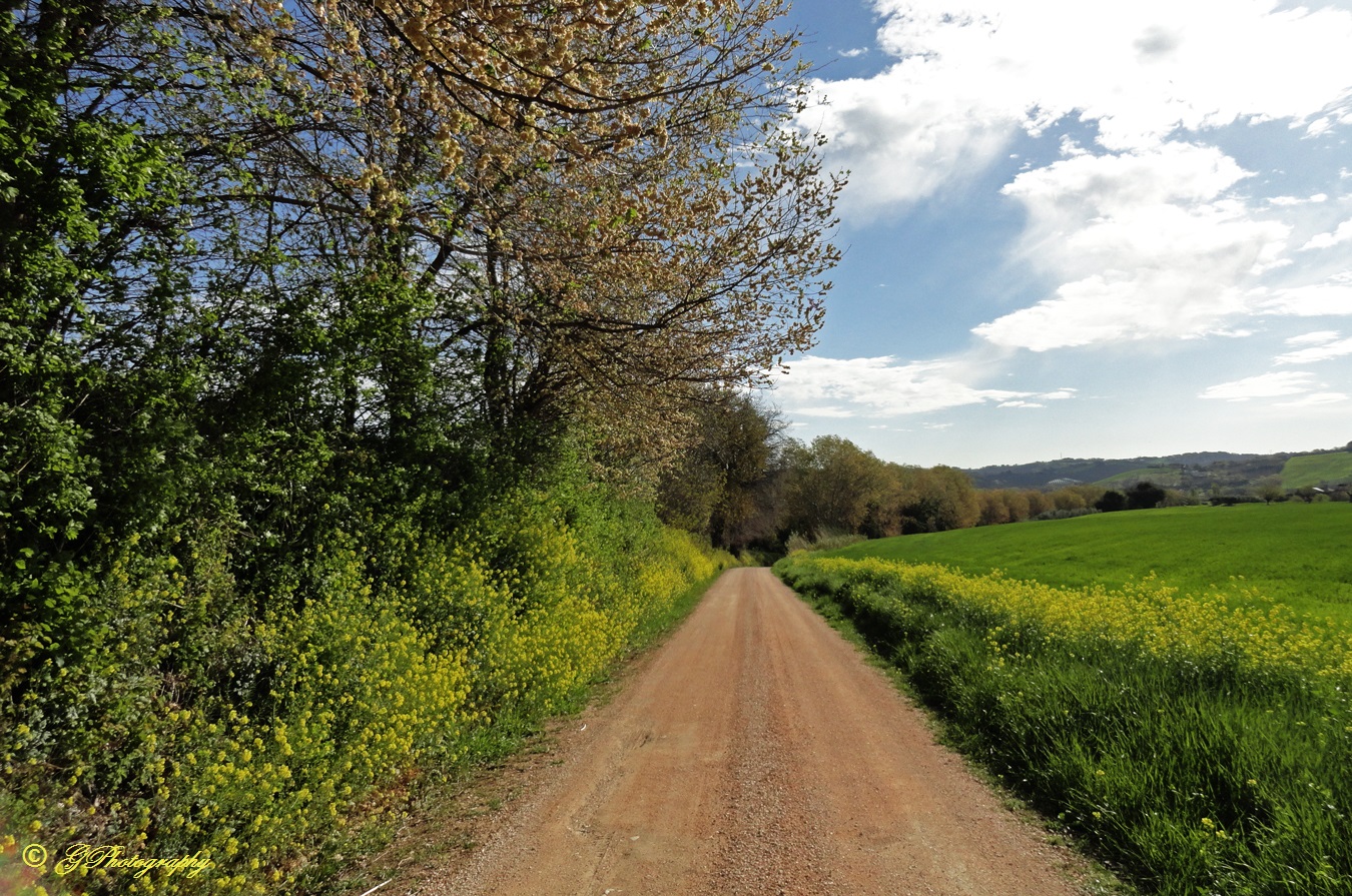 Sfizio di Primavera2
