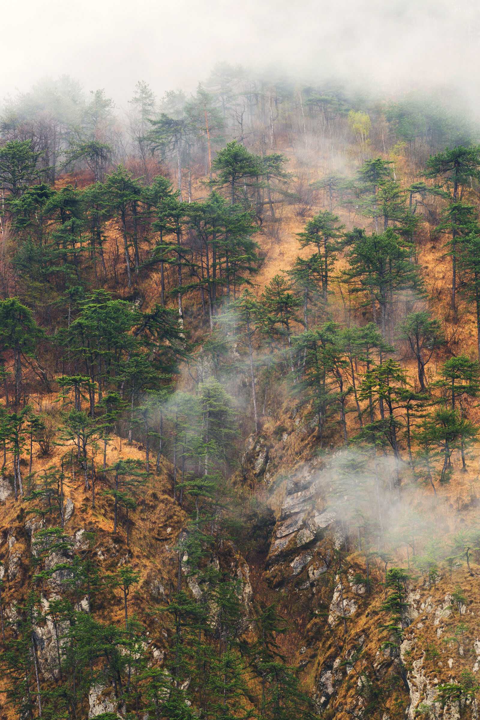 Ritratto al paesaggio.