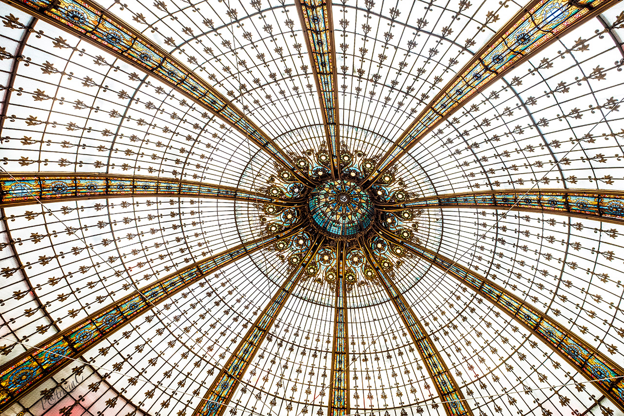 __ with the nose up __