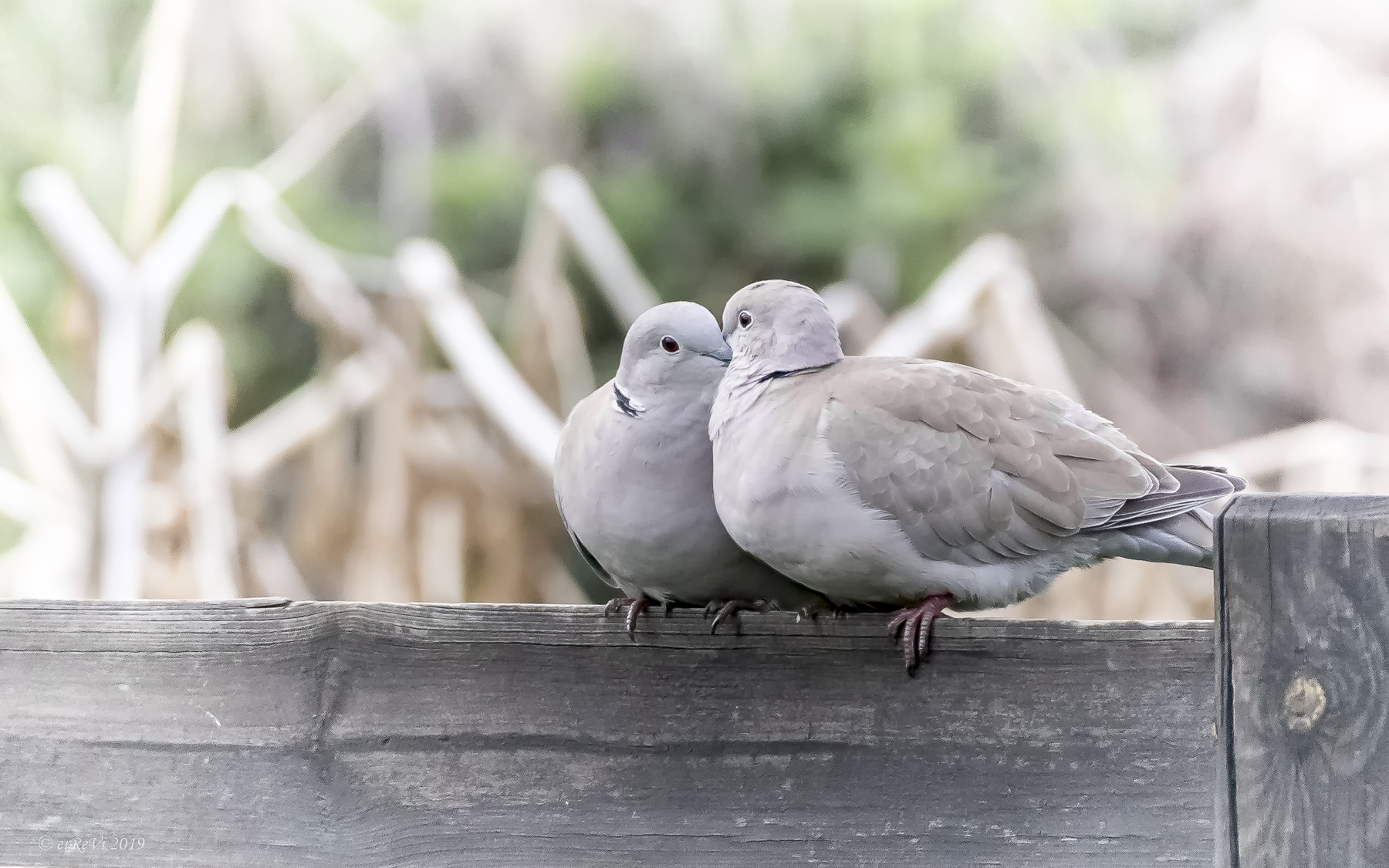 Quiet, it's the usual peat...