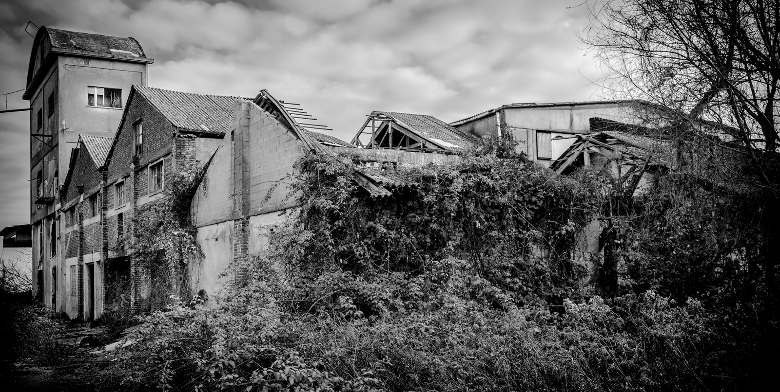 Fabbrica abbandonata