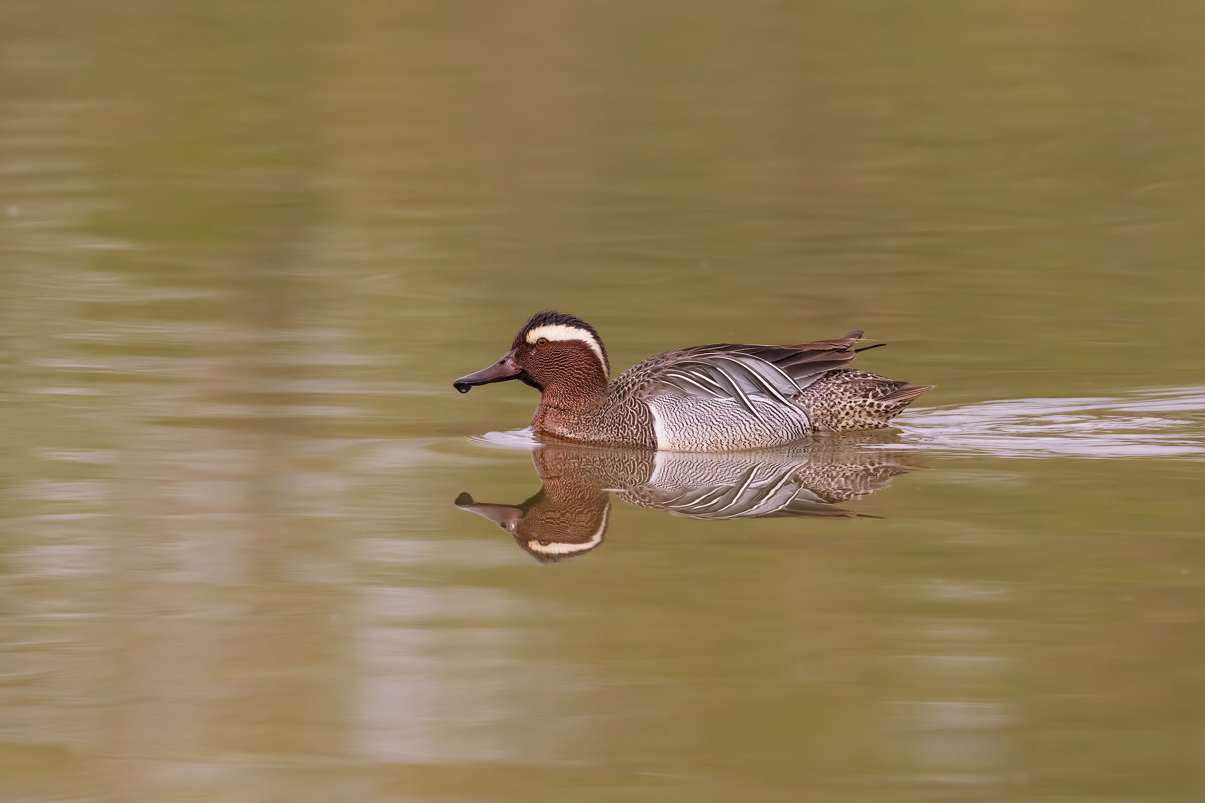 Marzaiola Passage with more light