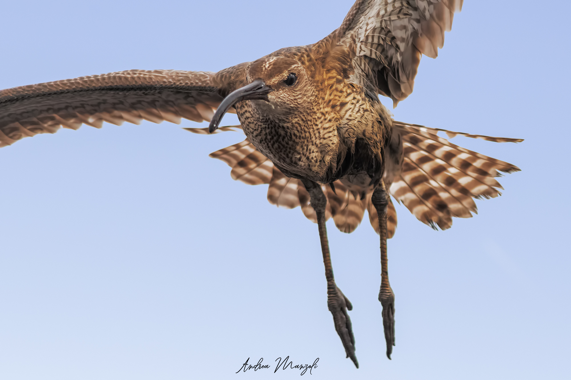 Chiurlo Piccolo in rotta di collisione