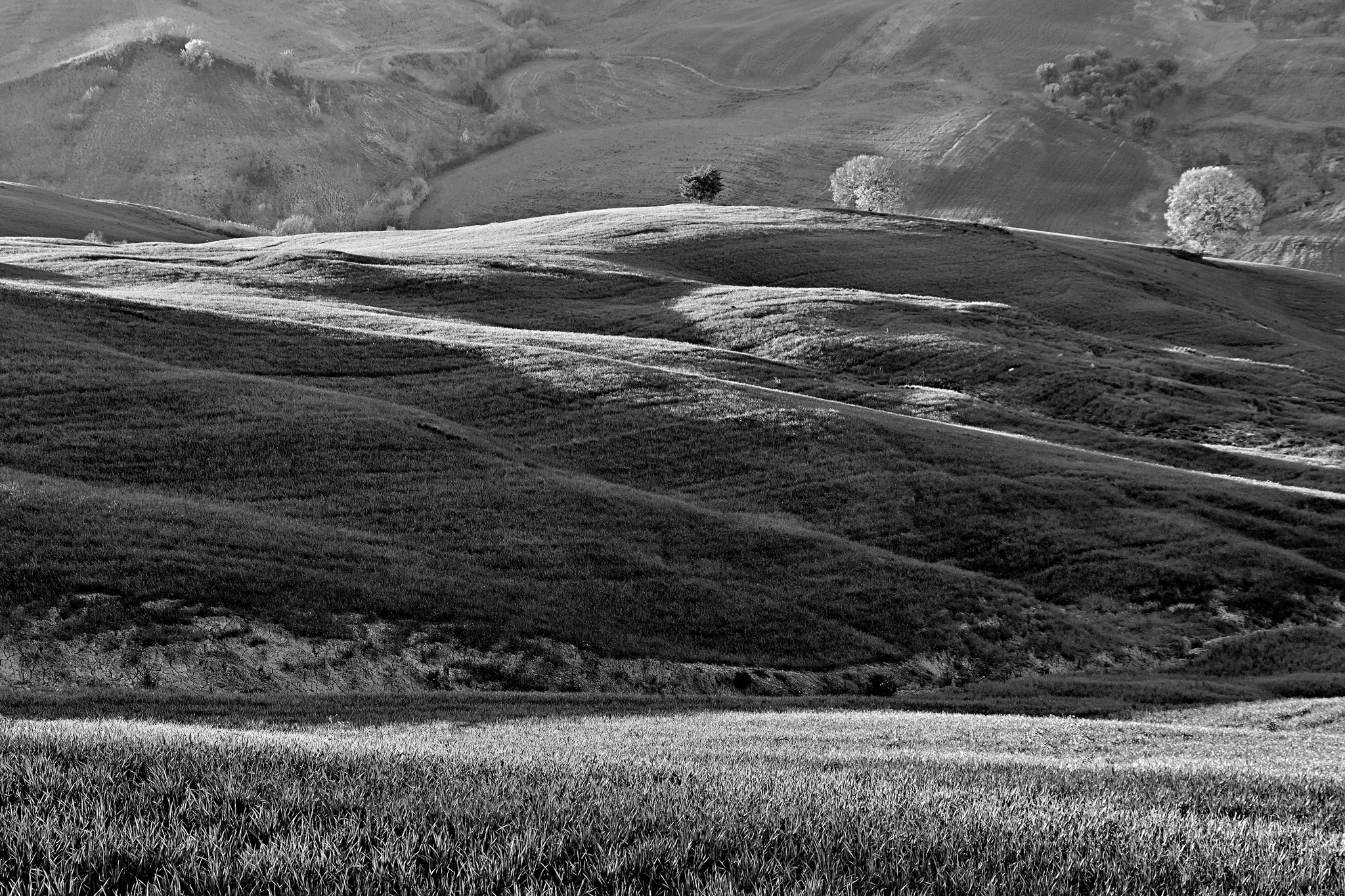 Scoppia la Primavera