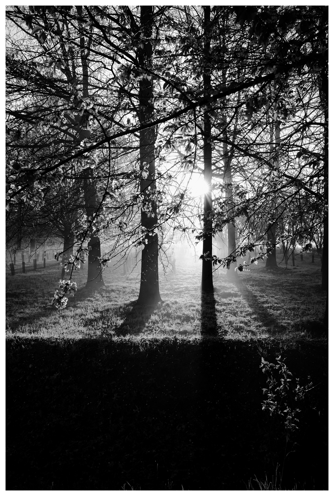 Le luci del mattino...