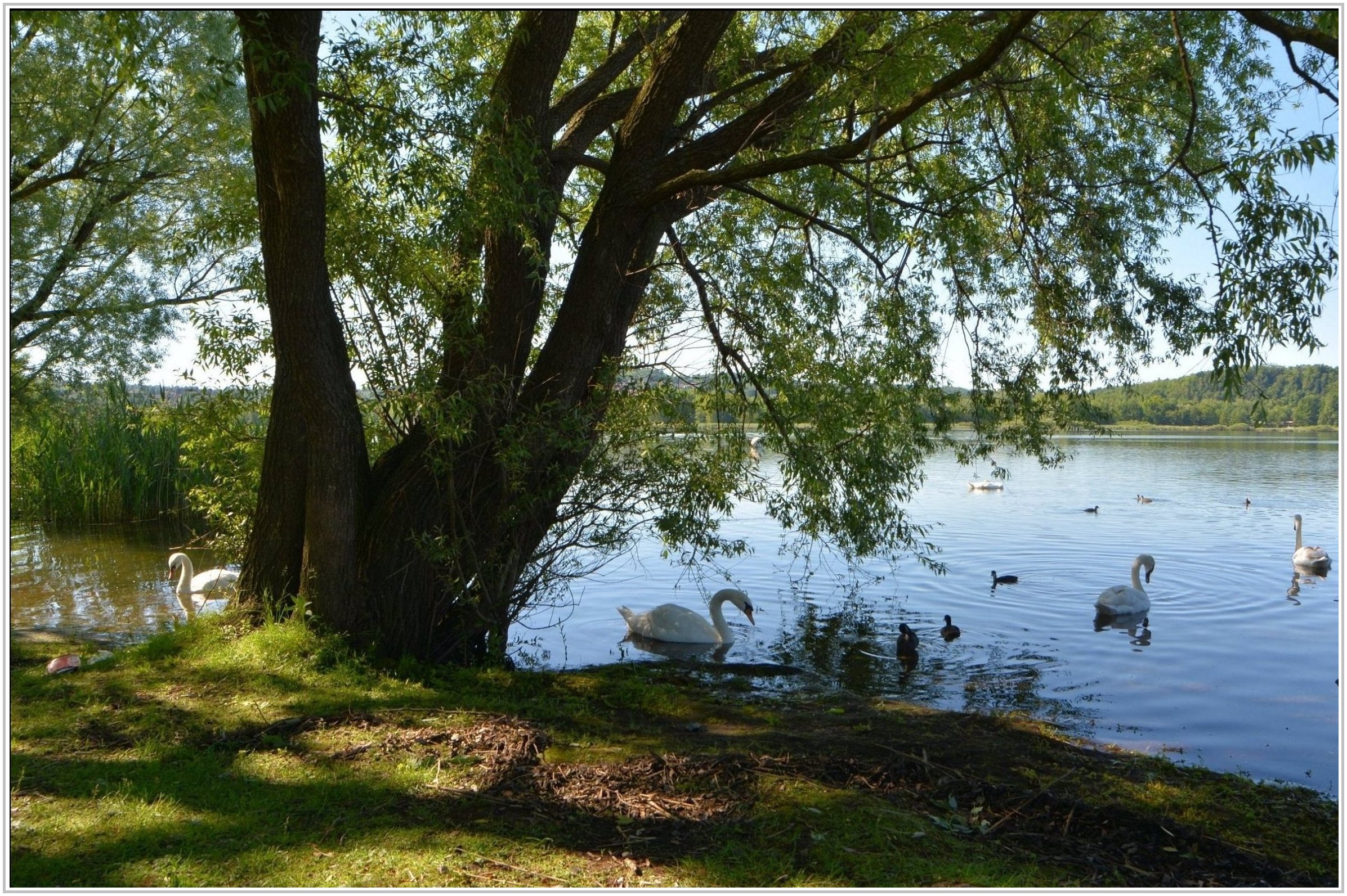 Varese: sulle sponde del Lago