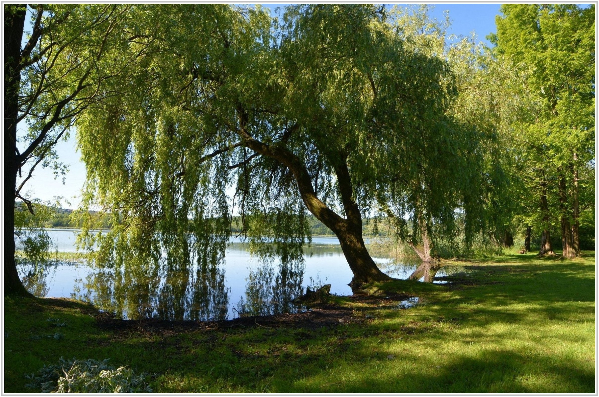 Sulle sponde del Lago 2