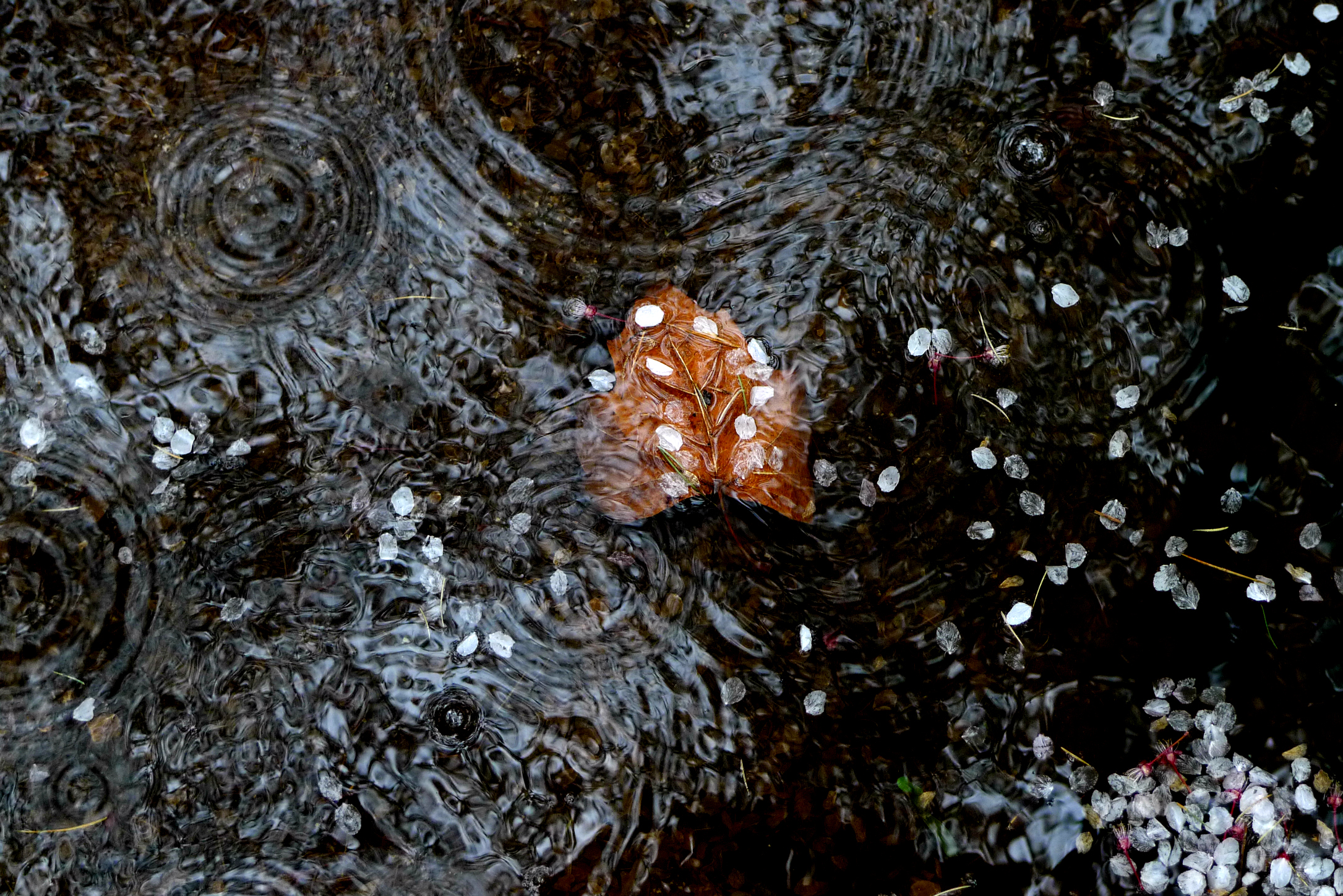 circles and floating thoughts