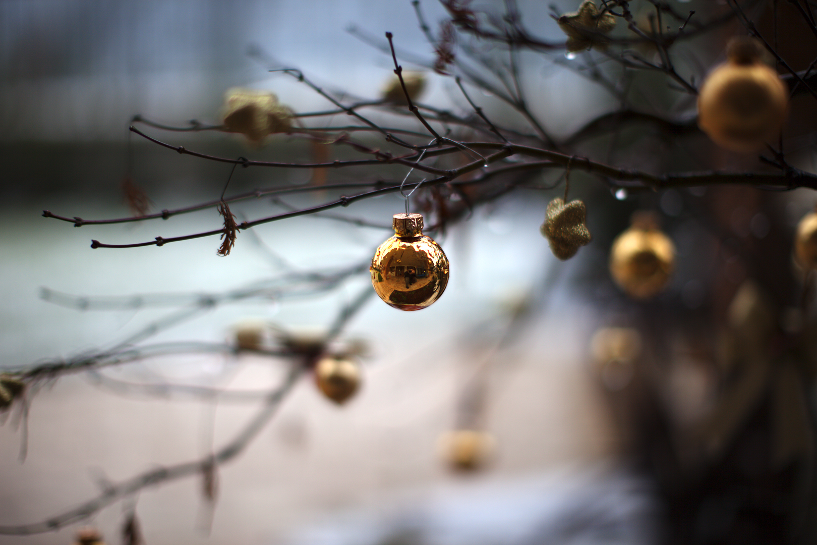 Prova Canon 50 f.12 a TA