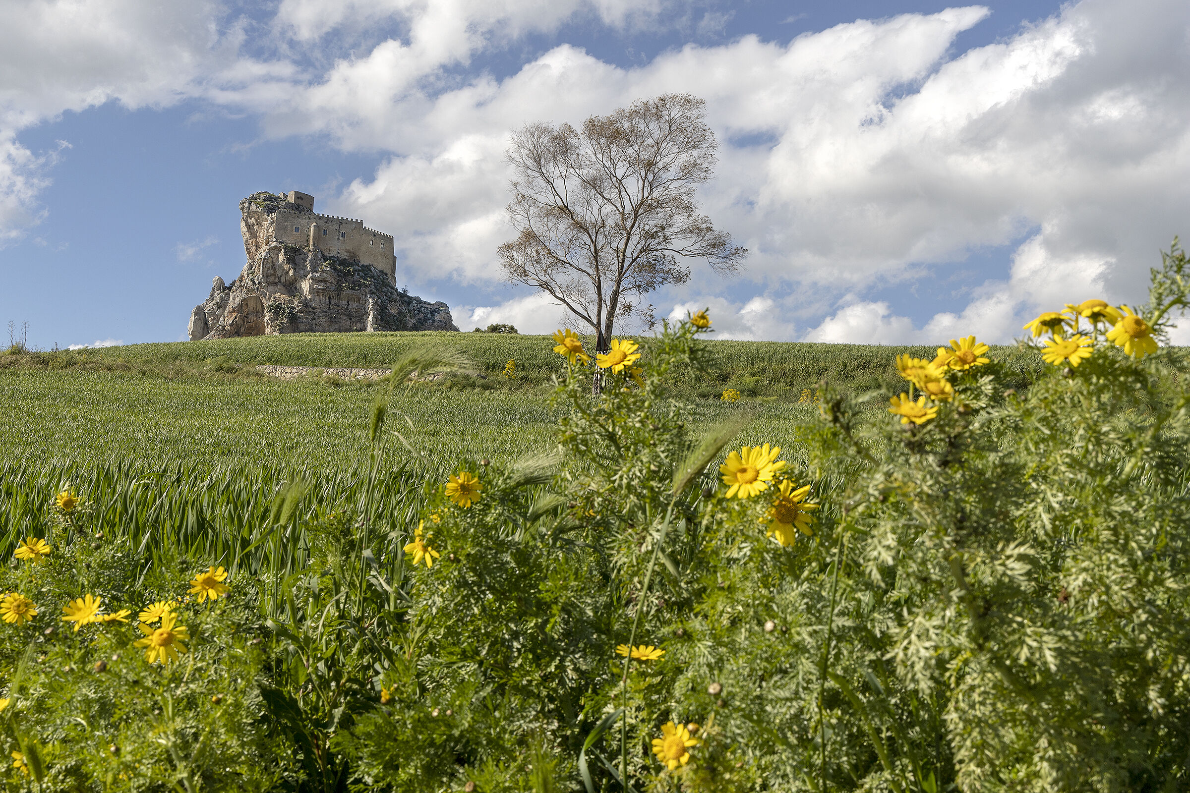 Postcard from Mussomeli