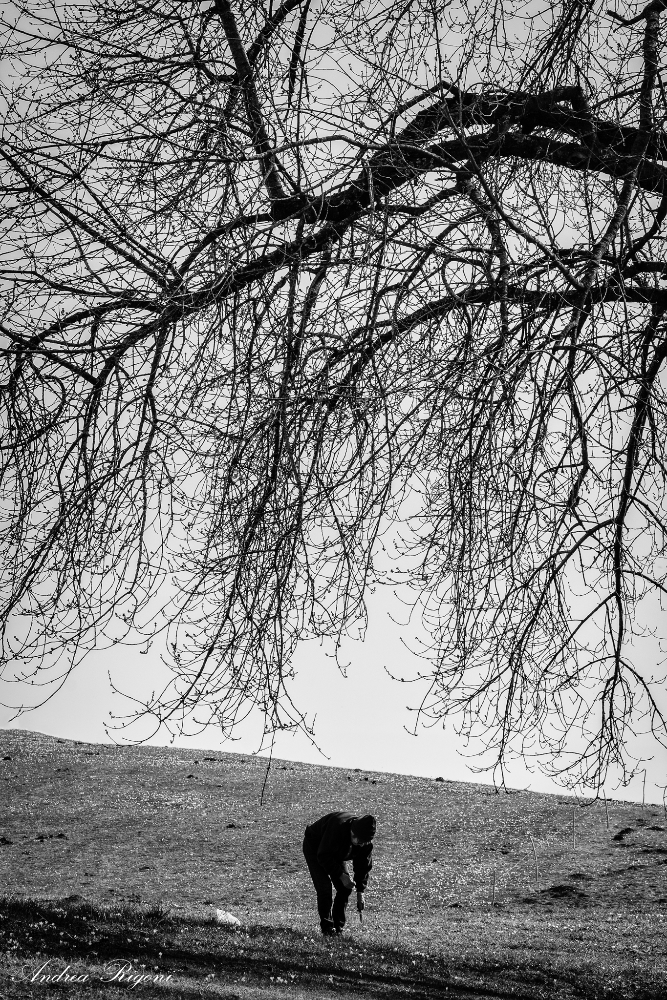 Ancient traditions....