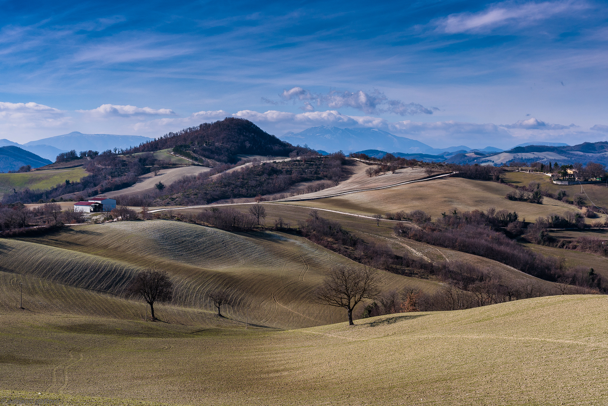 Marche Hills near Pergola